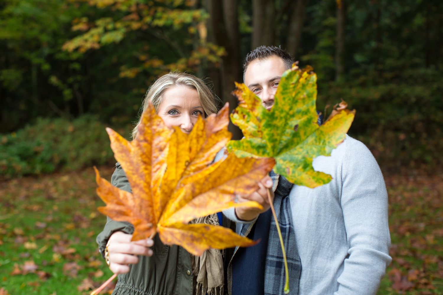 People playfully peek through large autumn maple leaves in a wooded outdoor setting  in Stanley Park in Vancouver, BC.
