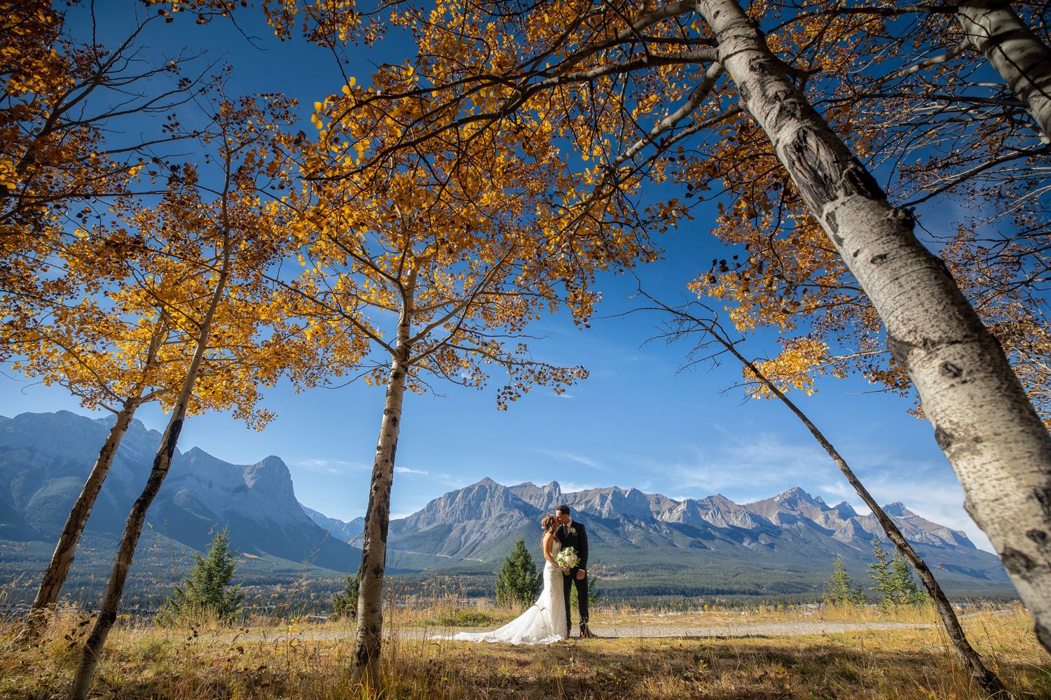 Scenic mountain landscape with golden autumn trees and mountain peaks in Benchland trail in Canmore, Alberta.