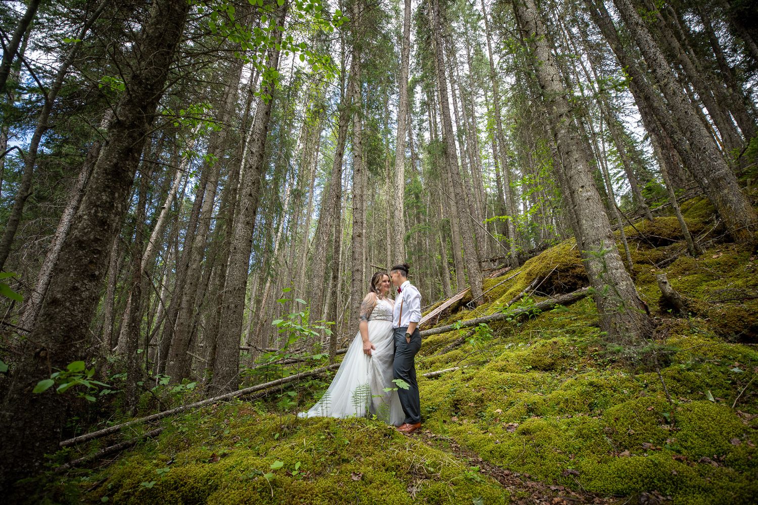 Couple walks through a misty evergreen forest with moss-covered ground during an outdoor wedding photo session. Radium Hot Springs, BC.