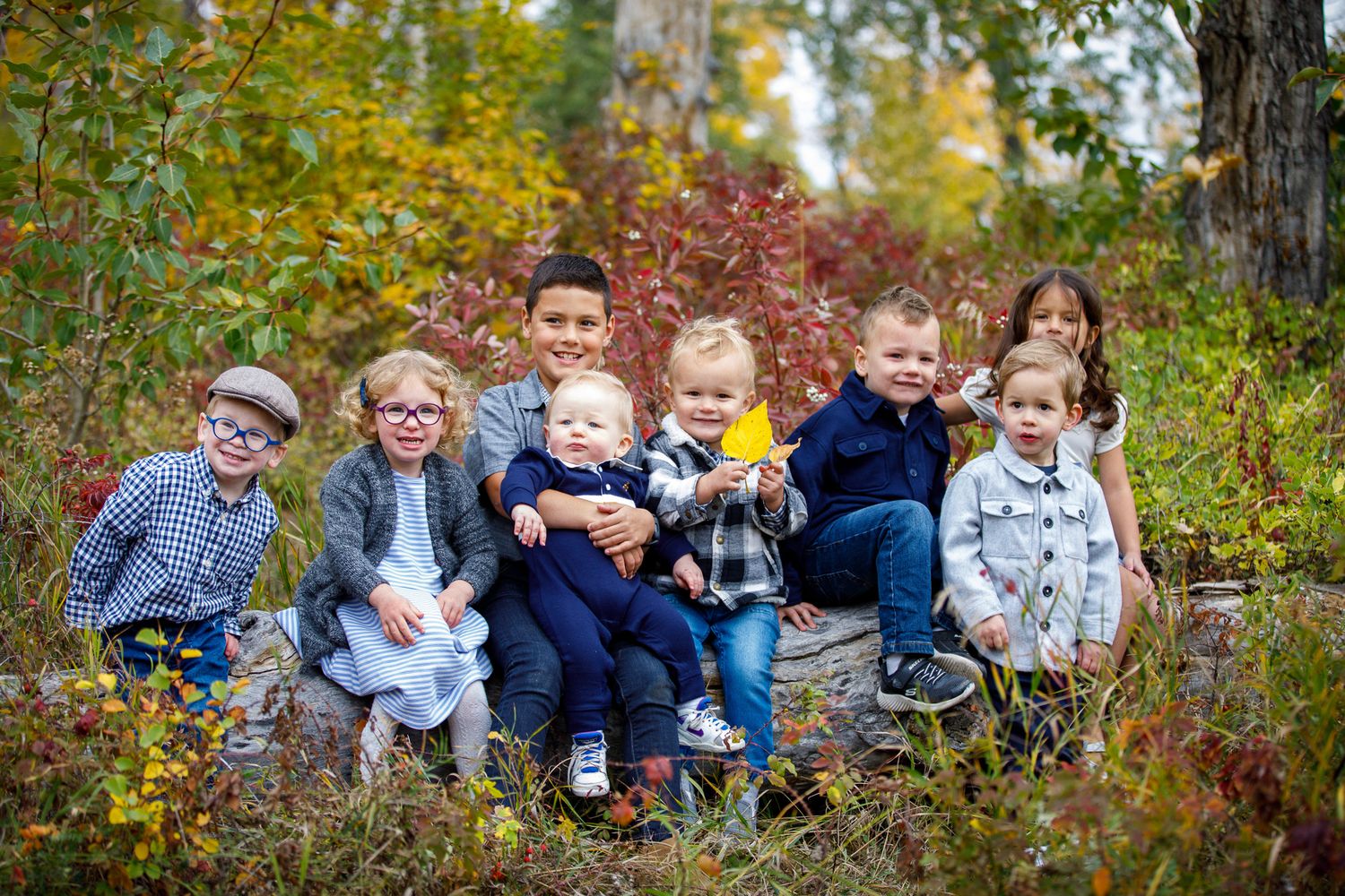 A group sits together on fallen logs surrounded by vibrant autumn foliage in a forest setting at Calgary Zoo.