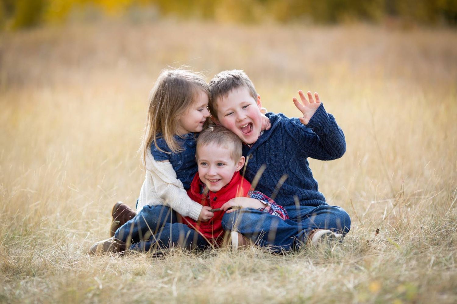 Children playing and laughing together while laying in a golden autumn field of tall grass. Quarry Lake park in Canmore, AB.