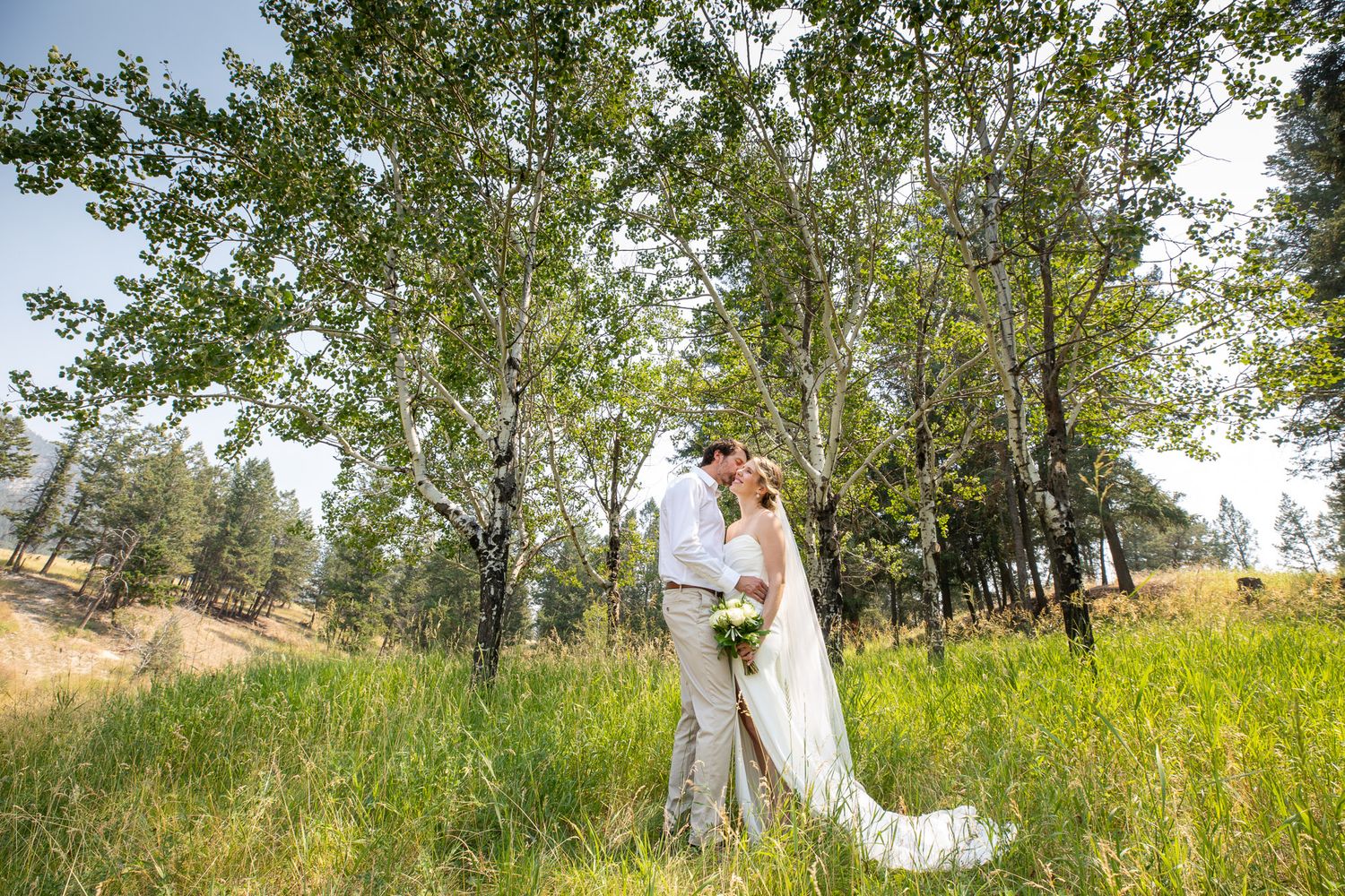 Bride and groom share a romantic kiss in a lush green meadow surrounded by tall aspen trees on their wedding day at Swansea Ranch in BC