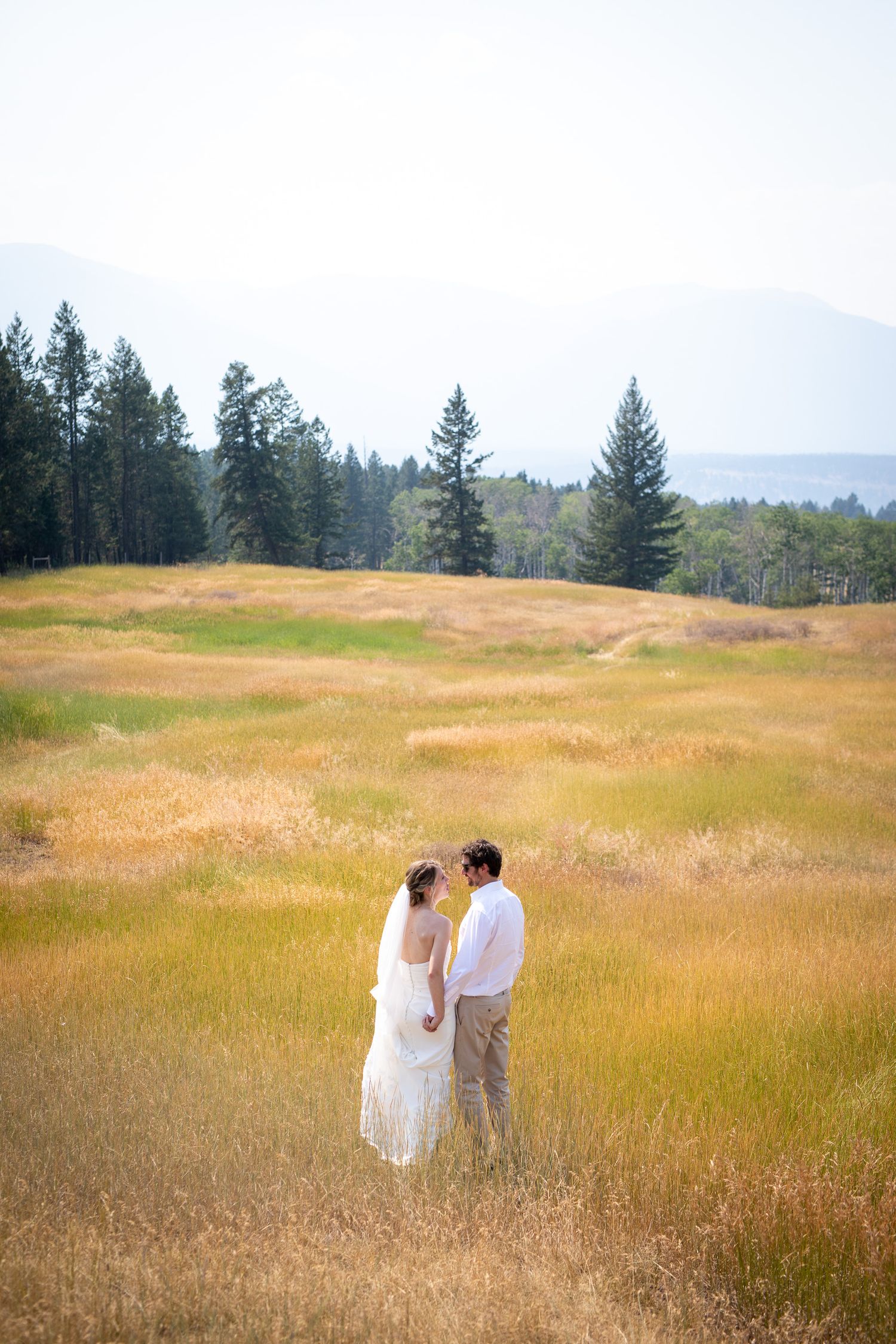 Bride and groom standing in golden meadow with pine trees and mountains in background at Swansea Ranch in Invermere, BC