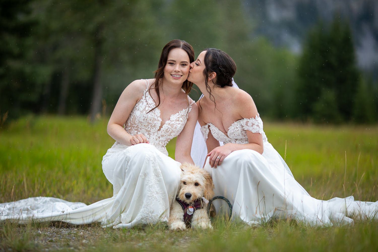 Two LGBTQ brides in white wedding dresses sit together in a grassy field with a small dog beside them at the Fairmont Banff Springs Hotel.