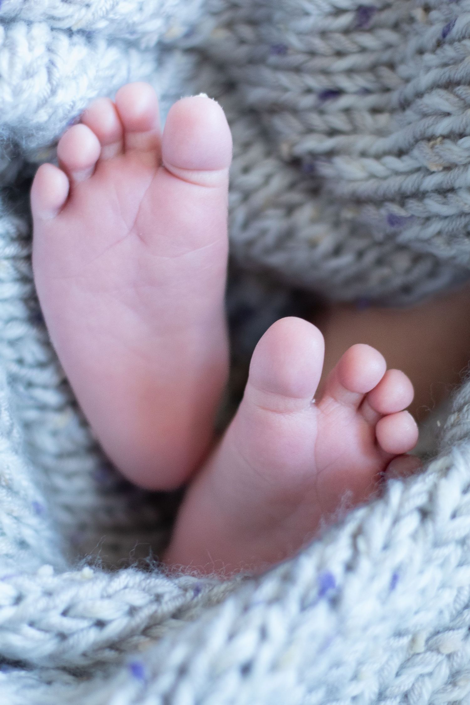 Meg Media Co., Monmouth County New Jersey in-home newborn photographer