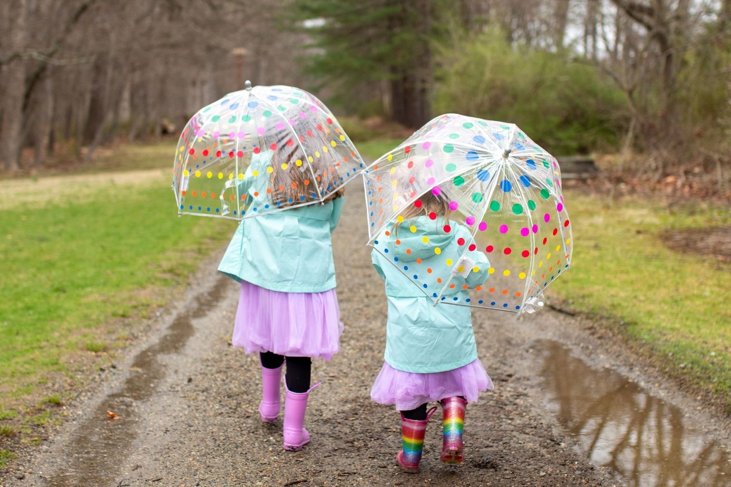 Meg Media Co. Monmouth County New Jersey family photographer