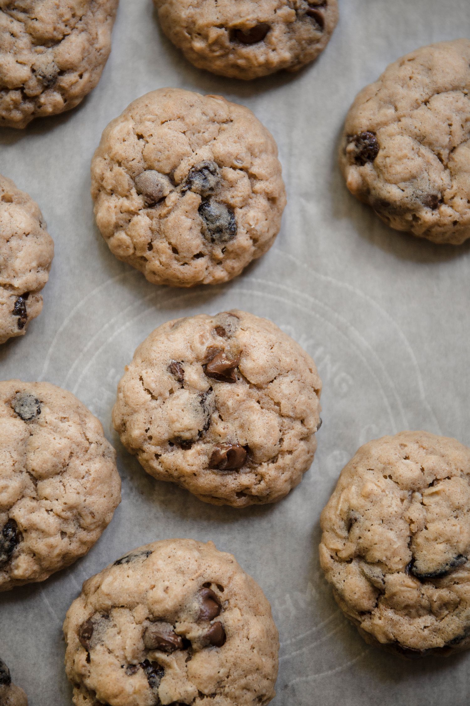 Freshly baked chocolate chip cookies cooling on parchment paper, viewed from above.