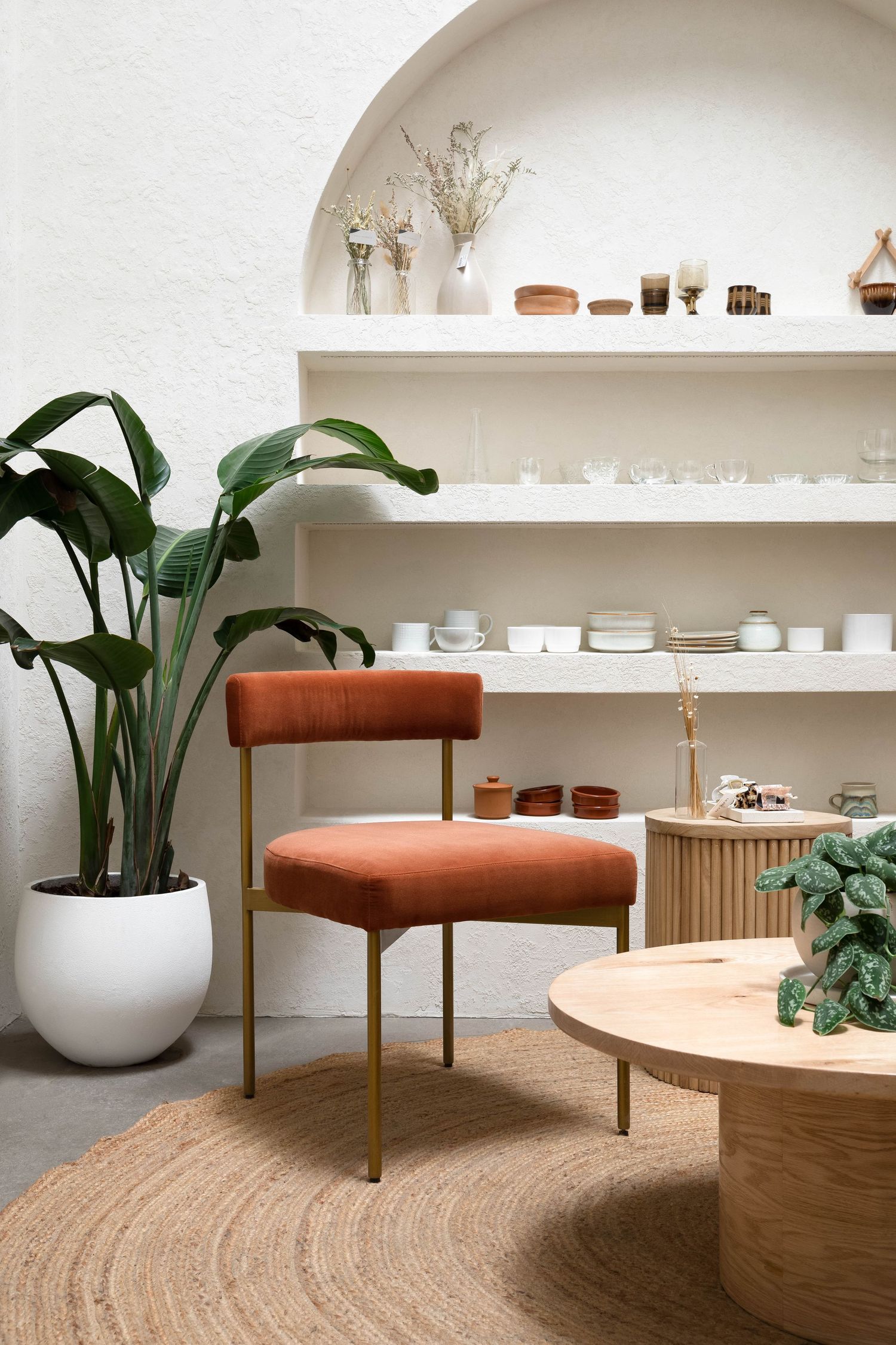 Minimalist living space with rust velvet chair, gold legs, large plant, wooden table, and white arched display shelves.