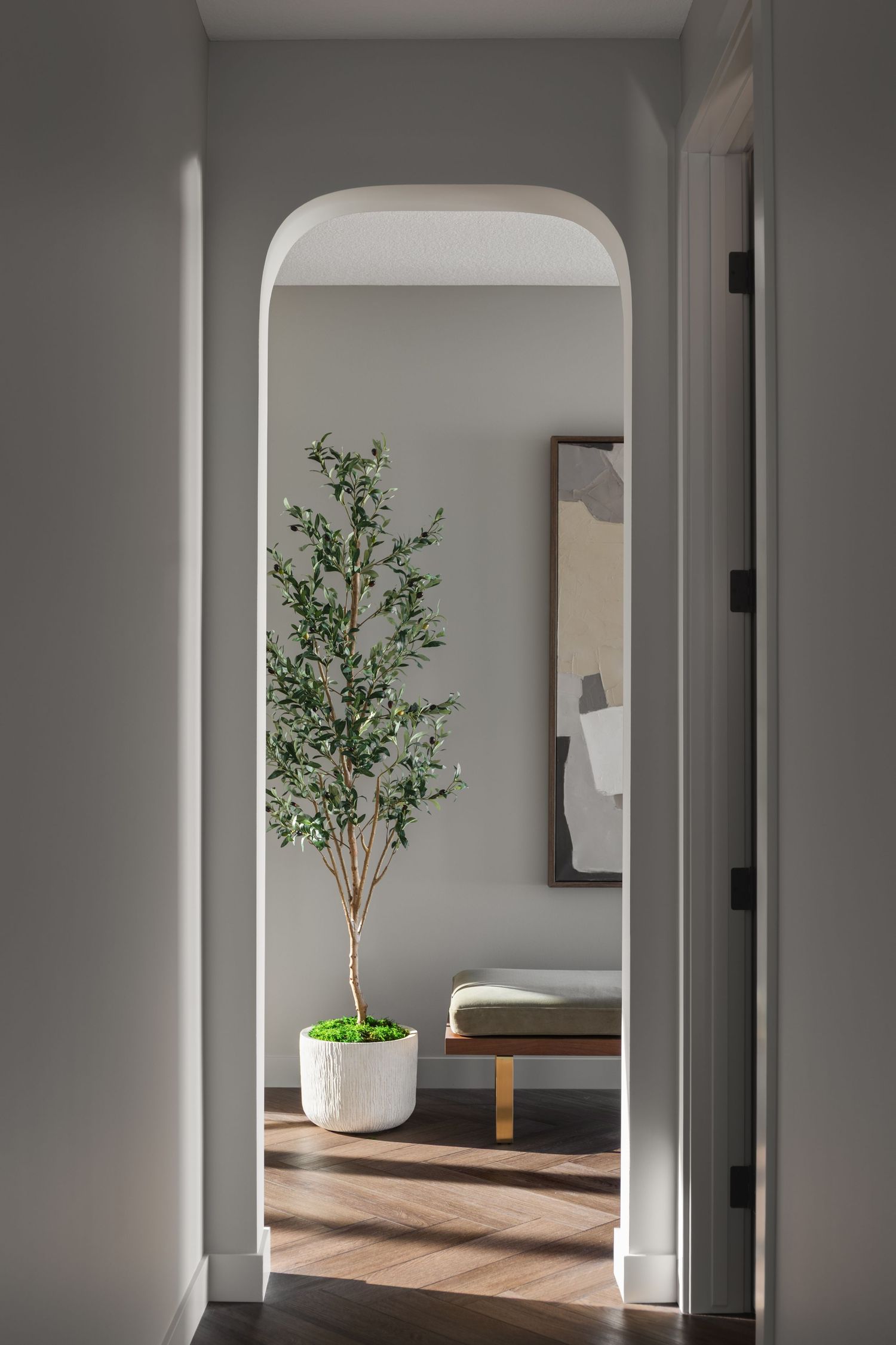Minimalist hallway with arched doorway, tall potted olive tree, hardwood floors, and neutral gray walls.