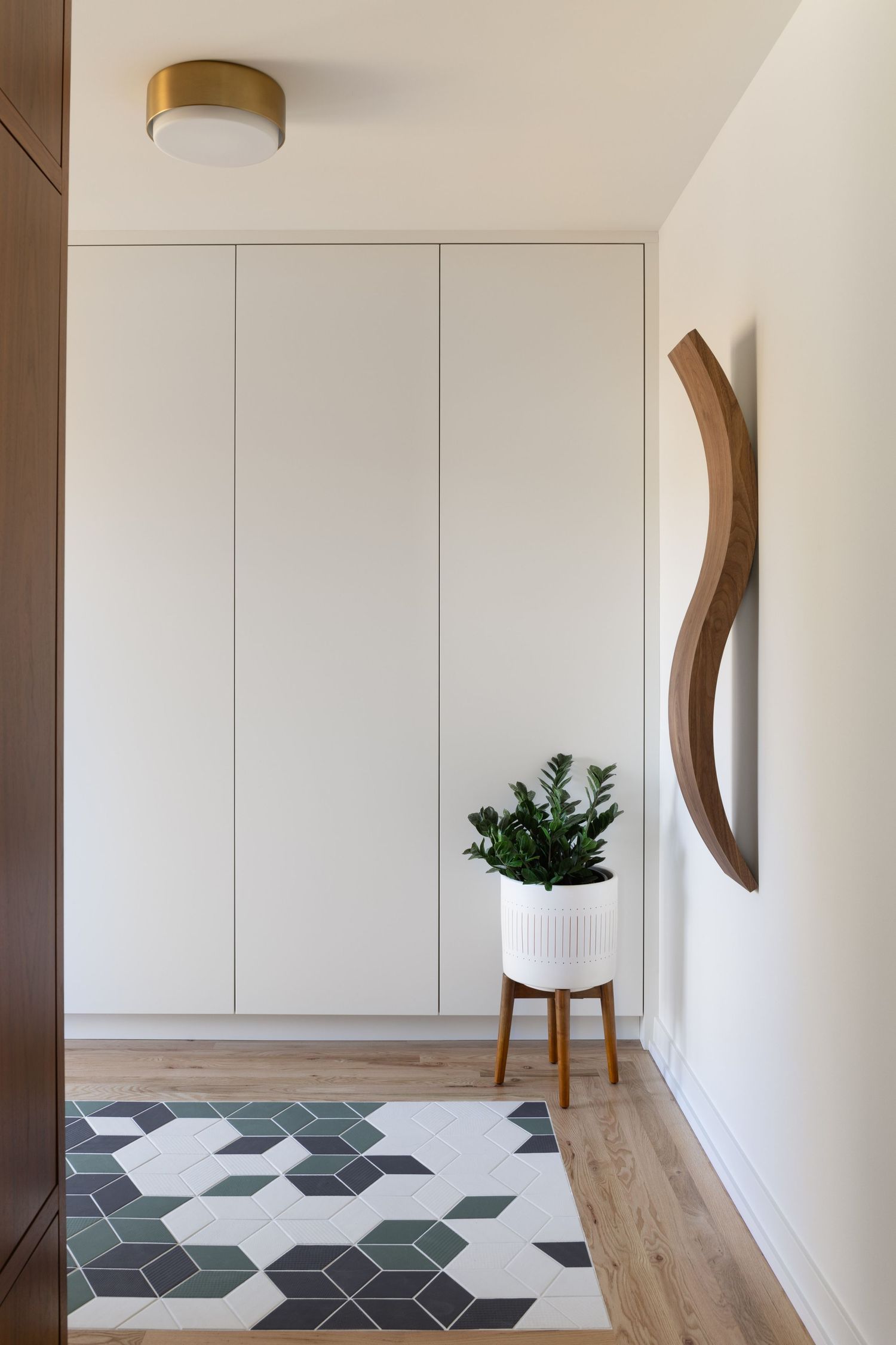 Minimalist hallway with built-in white wardrobe, geometric patterned rug, potted plant, and curved wooden wall art.