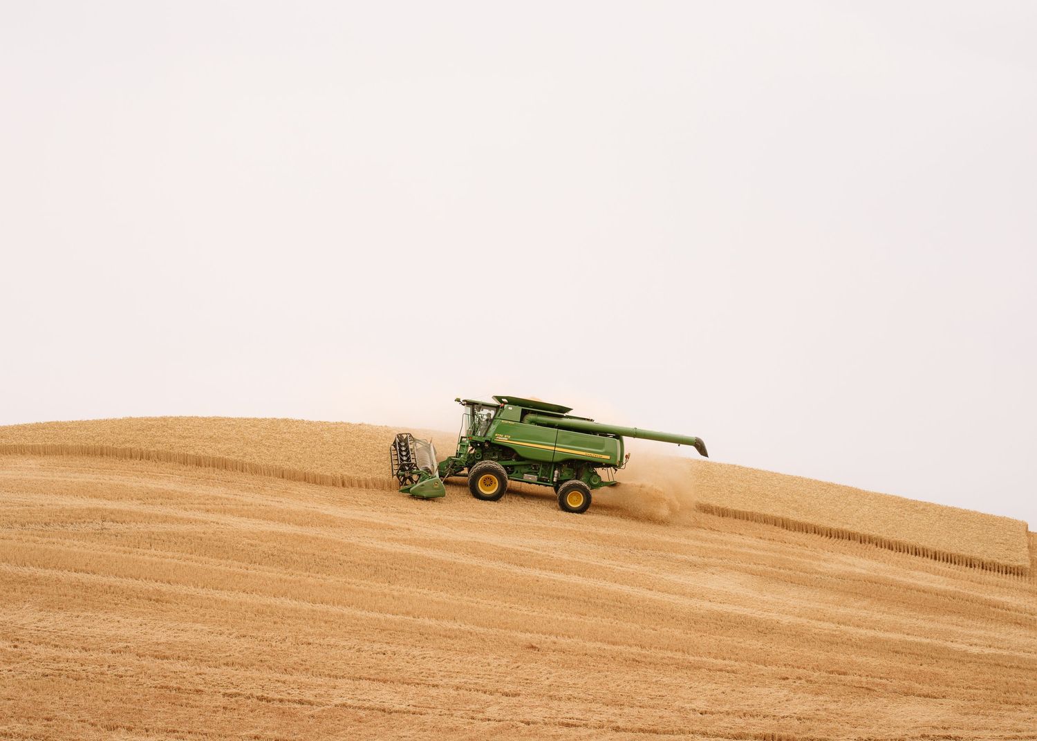 A green combine harvester moves across a golden hillside of wheat during harvest season.