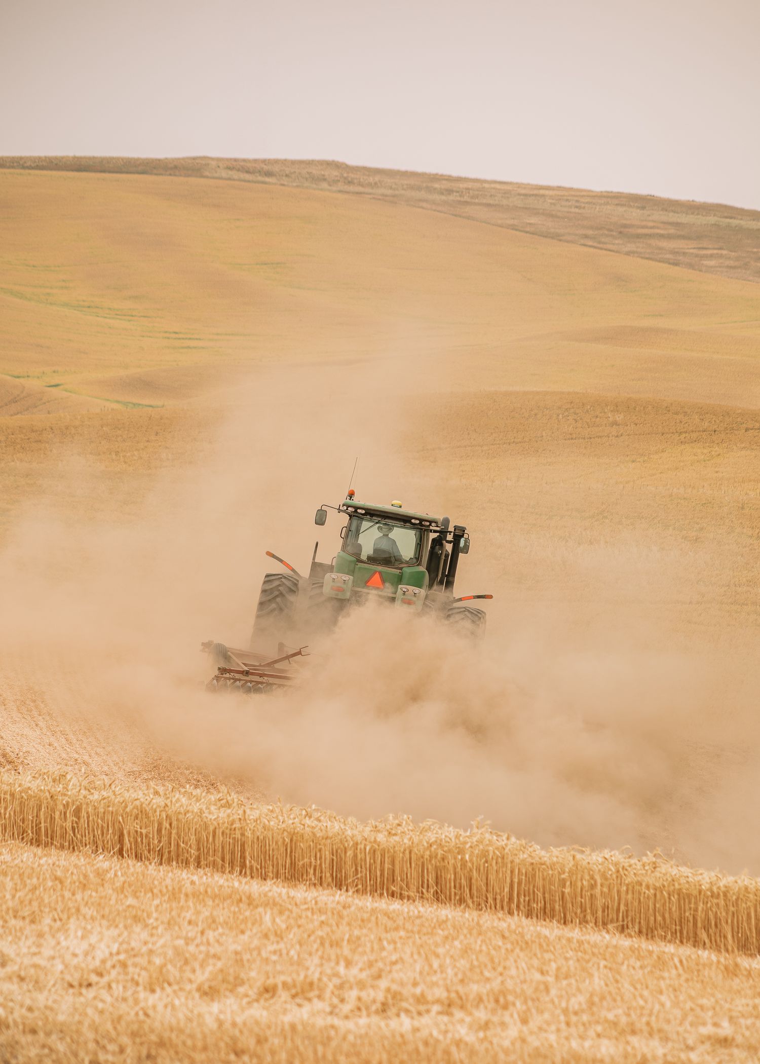 Two green tractors harvest golden wheat on rolling hills creating trails of dust in the late summer sunlight.