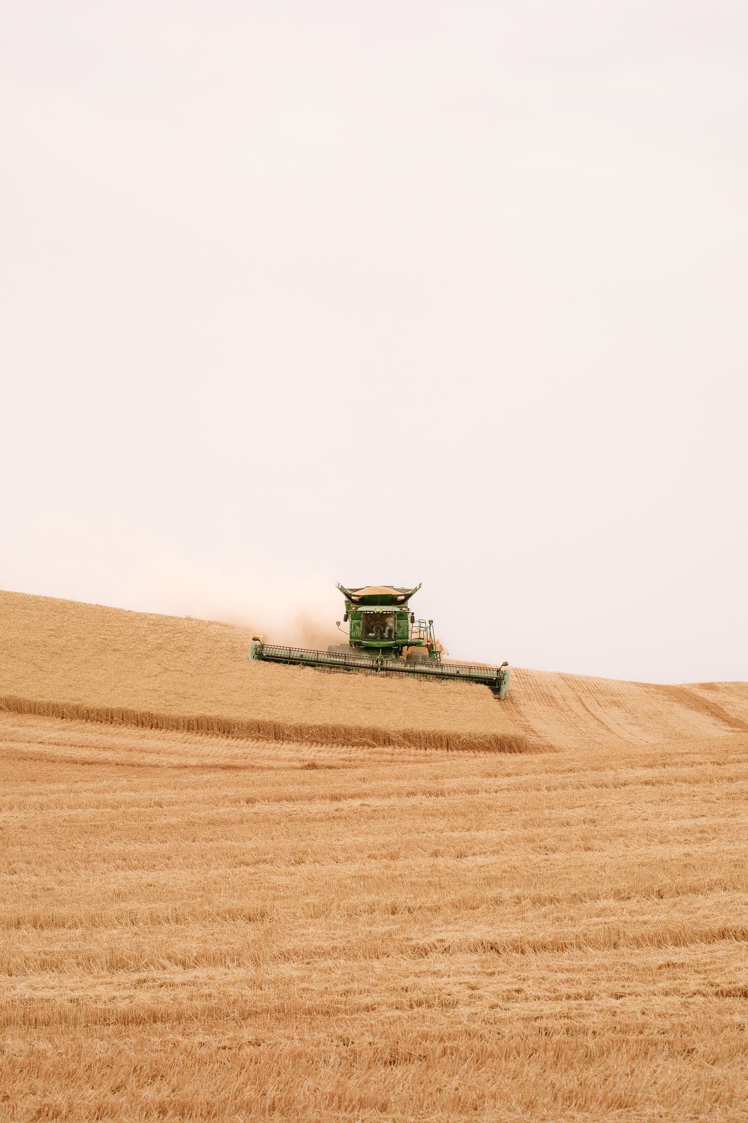 A combine harvester works its way across rolling golden wheat fields during harvest season.