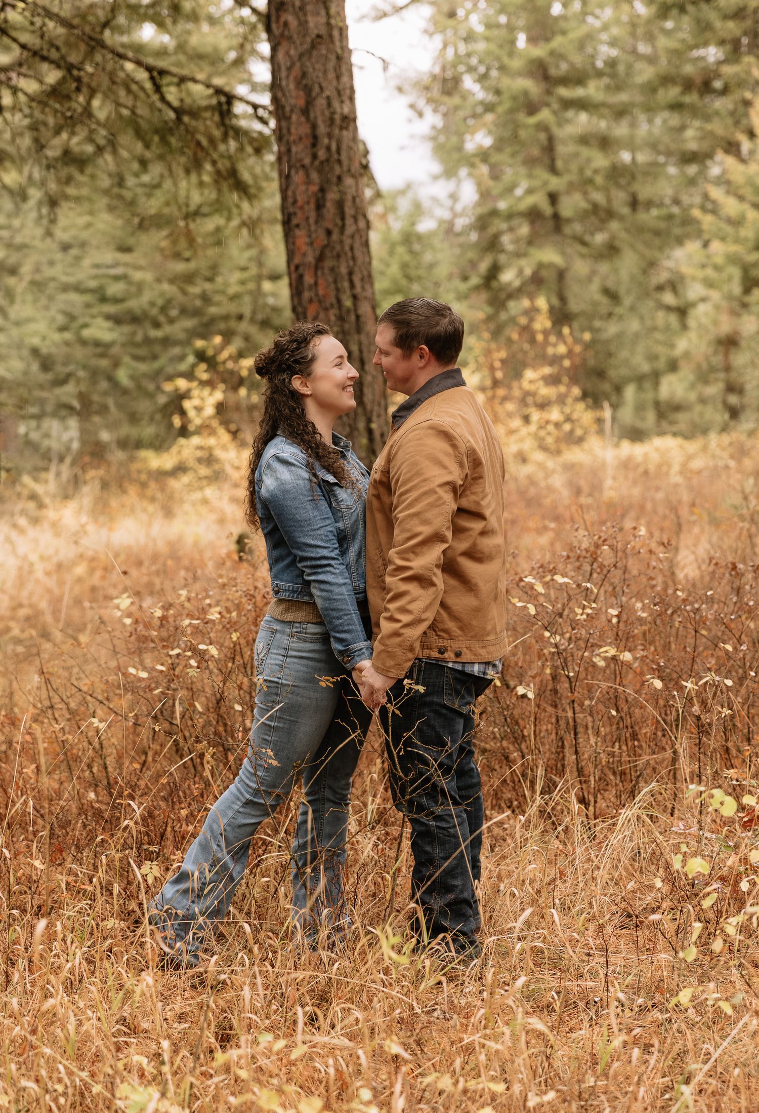 A couple shares a tender moment in tall golden grass among pine trees during an autumn photoshoot.