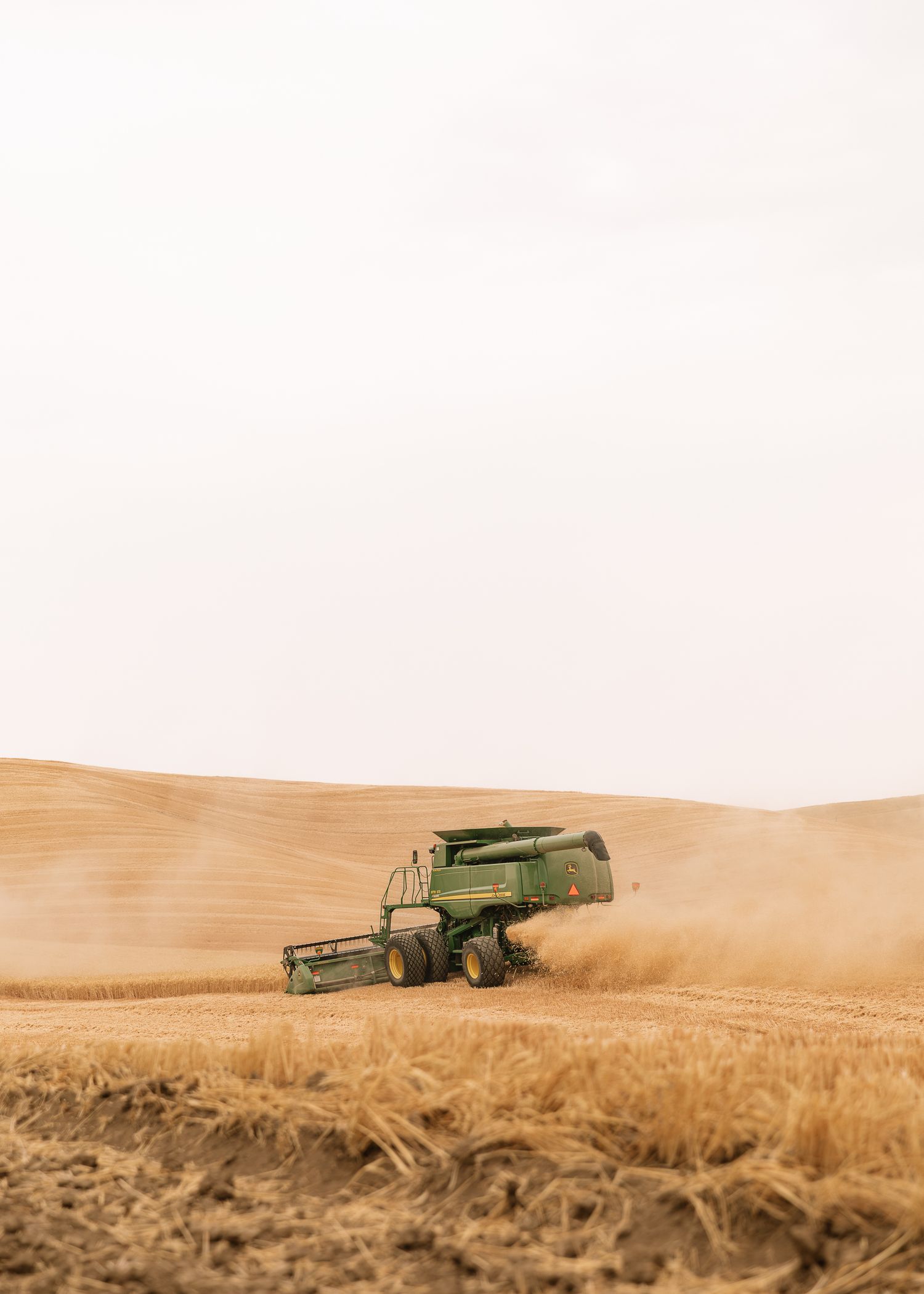 A green combine harvester works its way across rolling golden wheat fields during harvest season.