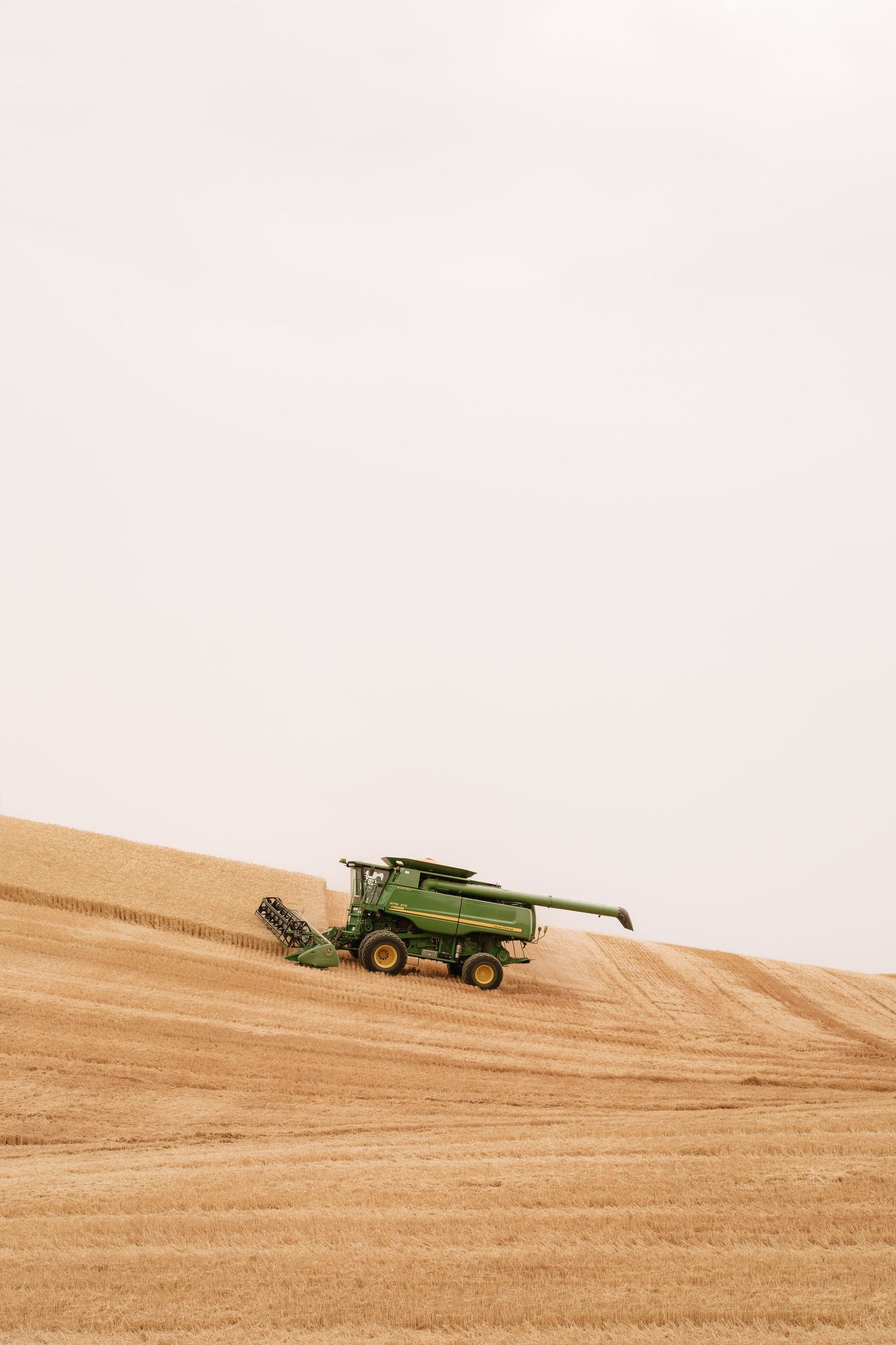 A green combine harvester moves across a golden wheat field on rolling hills against a pale sky.