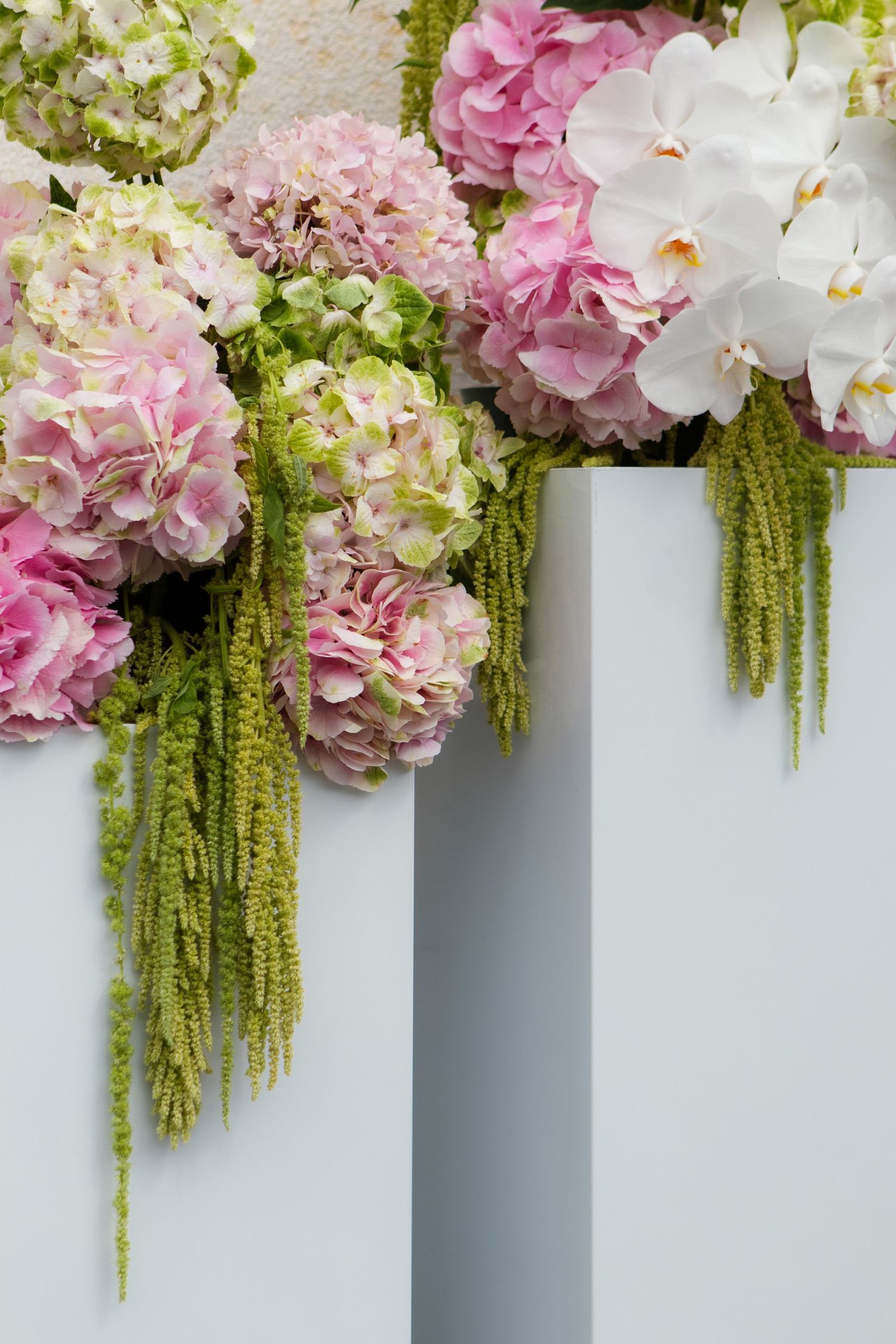 Beautiful floral arrangement with pink hydrangeas, white orchids and cascading green amaranthus in modern white vases.