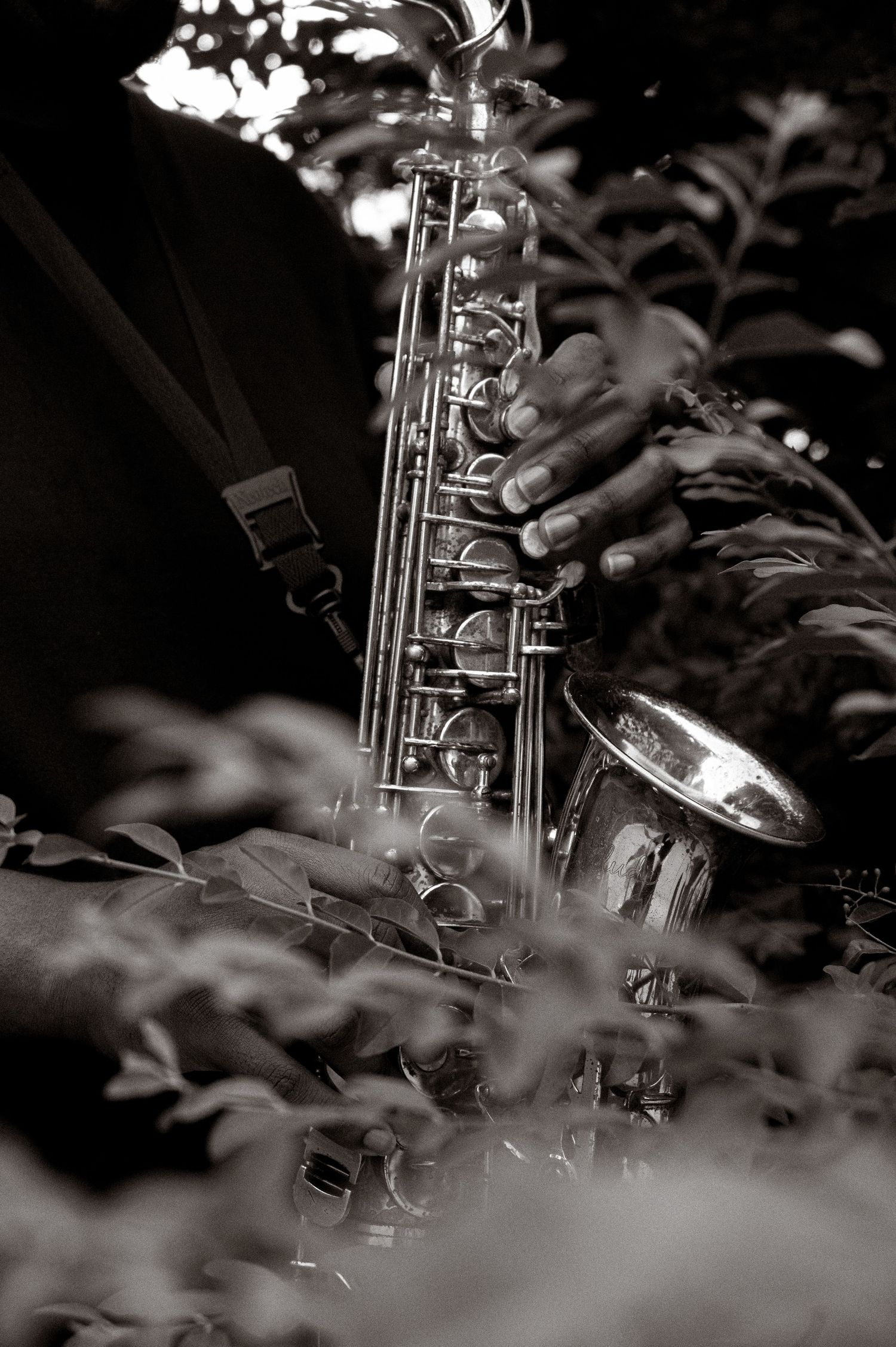 Black and white photo of hands playing a saxophone surrounded by lush leaves outdoors.