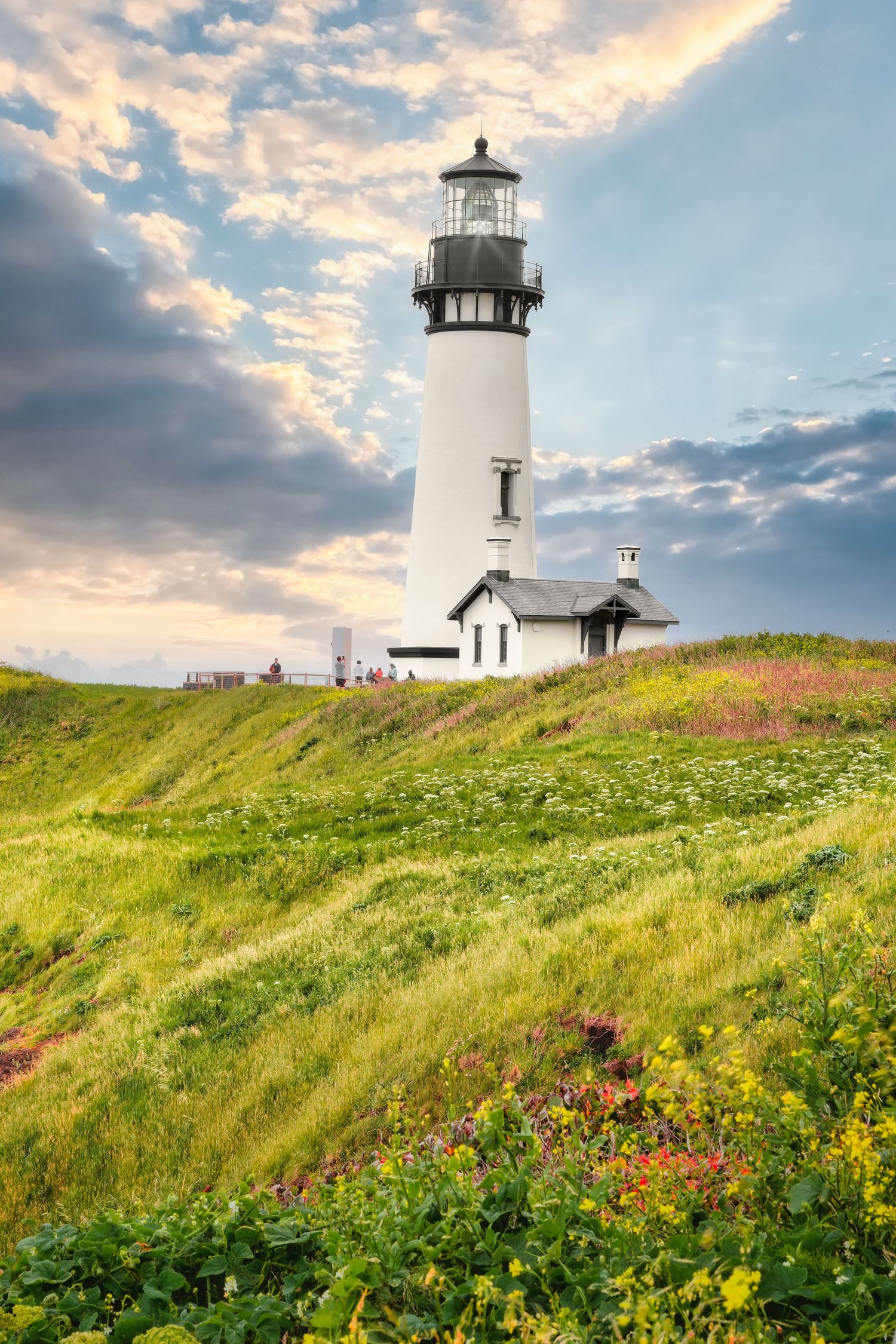 Yaquina Head Lighthouse stands majestically on a green hillside with wildflowers under dramatic sunset clouds in Oregon.