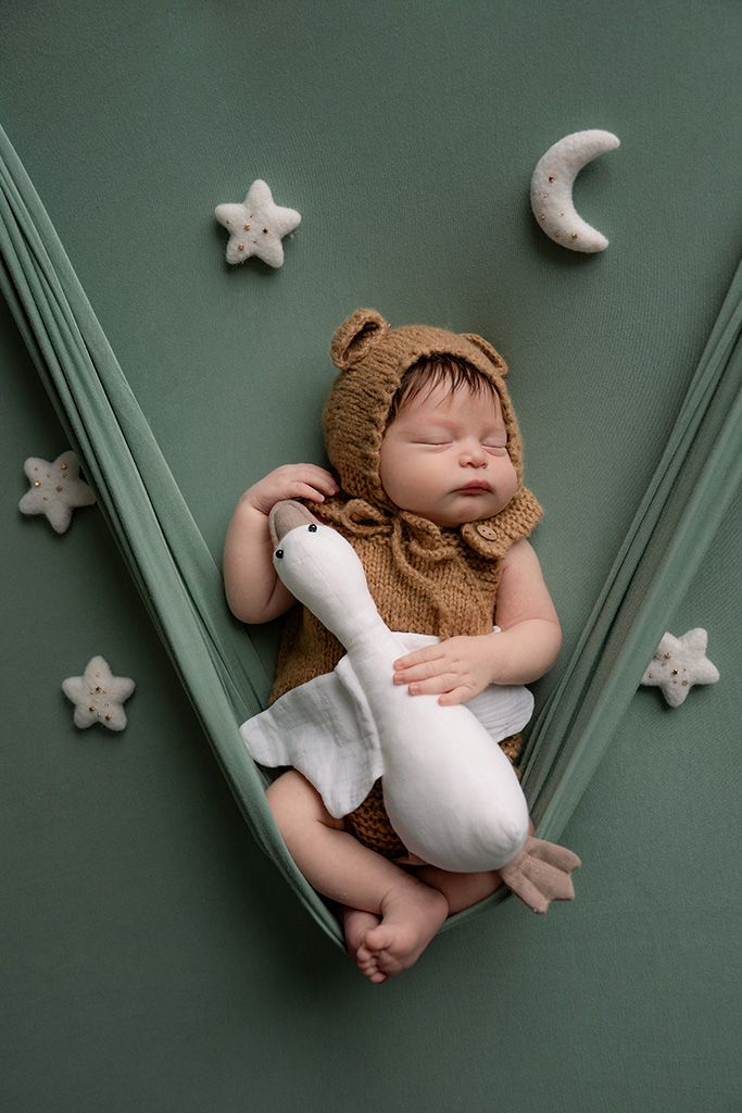 Sleeping newborn baby in bear bonnet cuddles goose toy in green hammock surrounded by star and moon decorations.