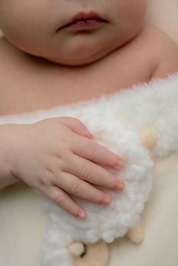 Close-up of a newborn baby's tiny hand resting on a soft white plush toy lamb.