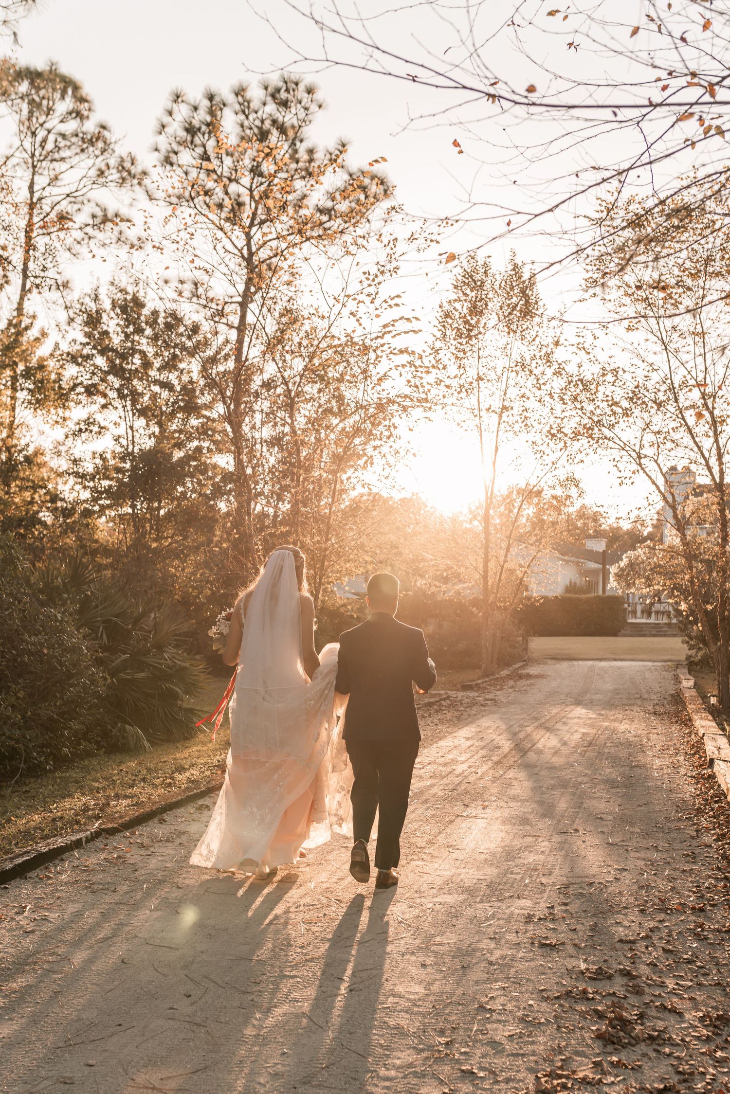 Two figures walk hand in hand down a sunlit path as golden light streams through autumn trees creating long shadows.
