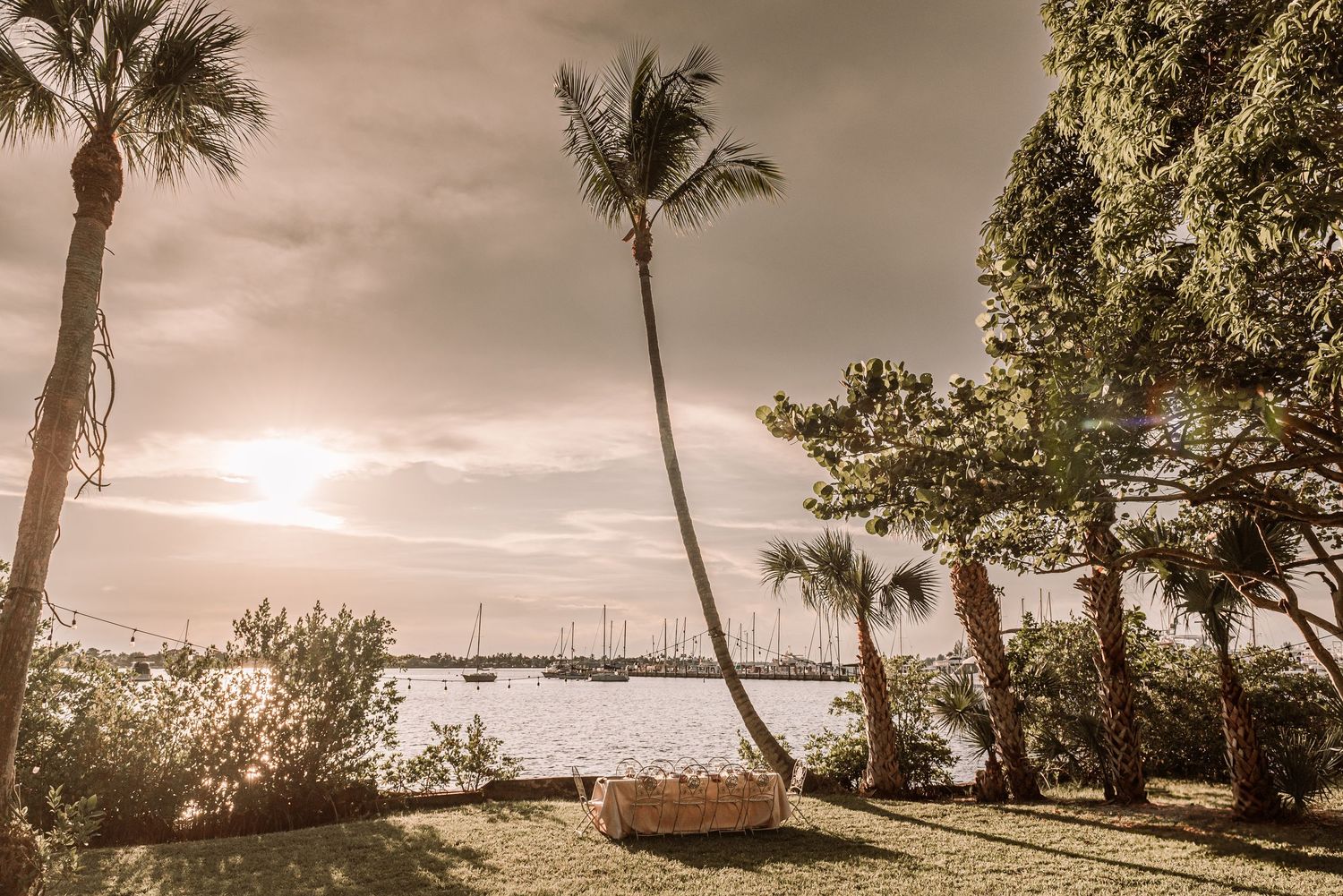 Sepia-toned tropical marina view with palm trees and boats silhouetted against a moody sunset sky.