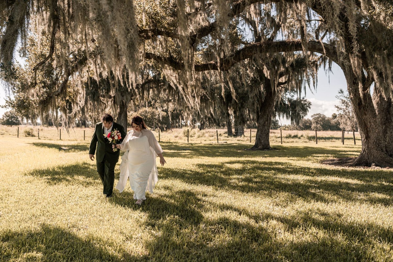 Spanish moss hangs from majestic oak trees in a serene outdoor setting with warm sunlight filtering through.