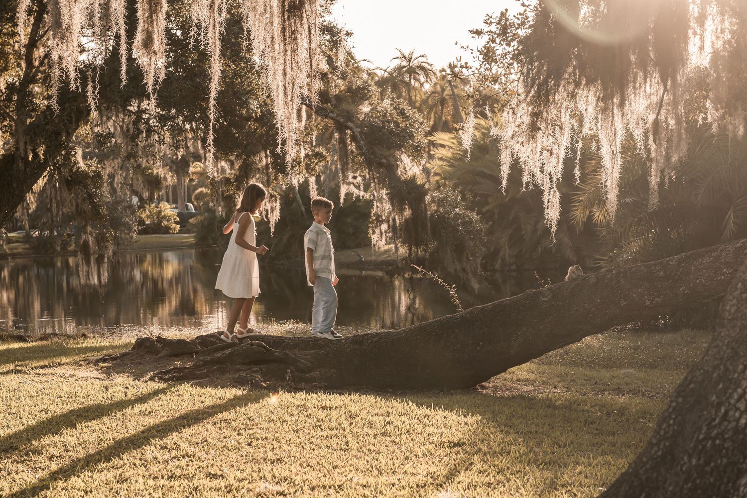 Two figures stand beneath Spanish moss draped trees at golden hour in a dreamy Southern landscape.