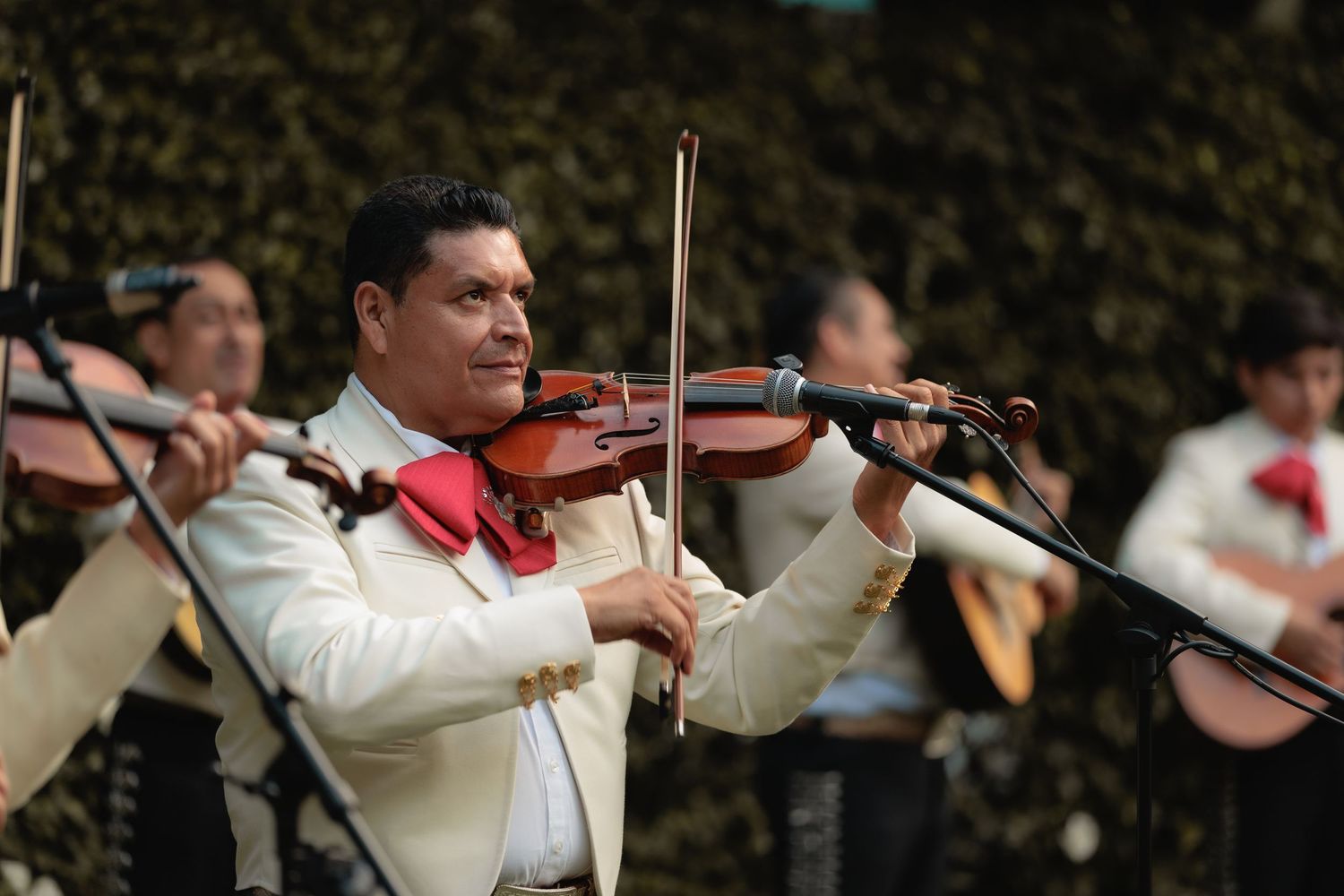 Musicians in white formal attire perform with violins at an elegant event.