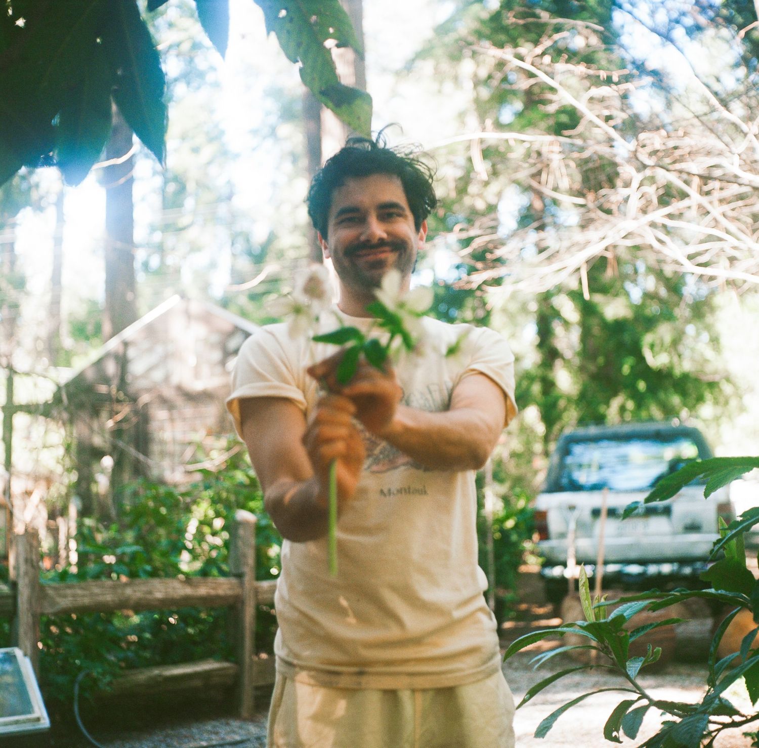 A casual outdoor photo of someone holding plants in bright sunlight.