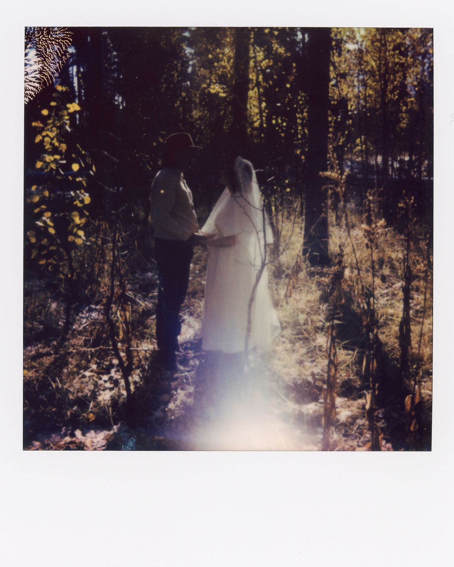 Vintage-style Polaroid of backlit couple in a mystical forest setting.