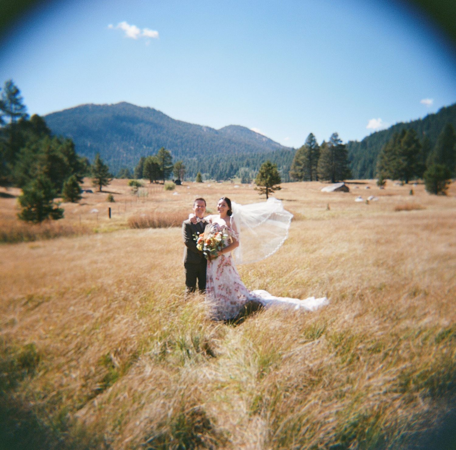 Bride and groom holding hands in golden field with mountains in background.