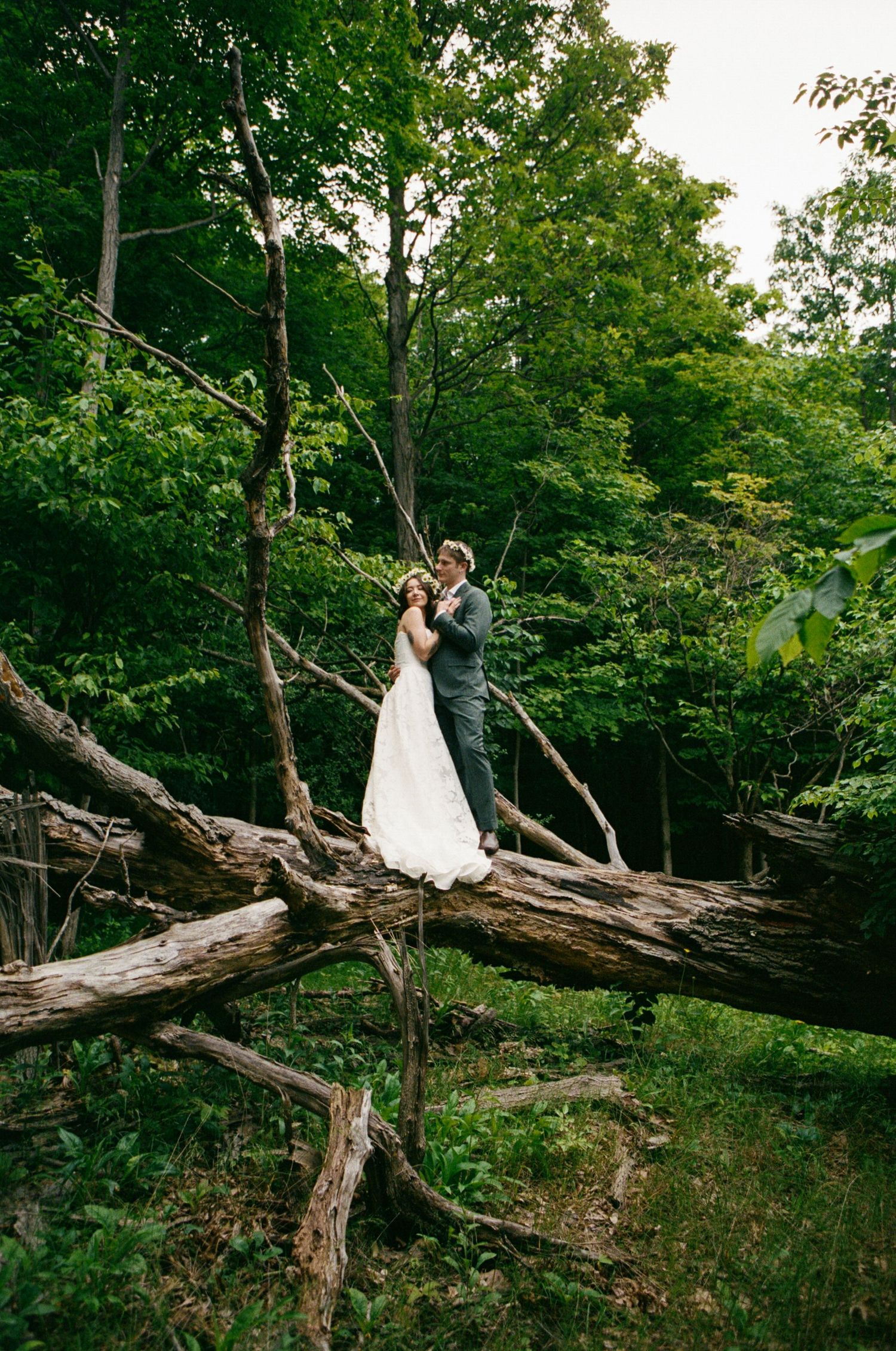 Couple in wedding attire posing on a fallen tree in a lush green forest.