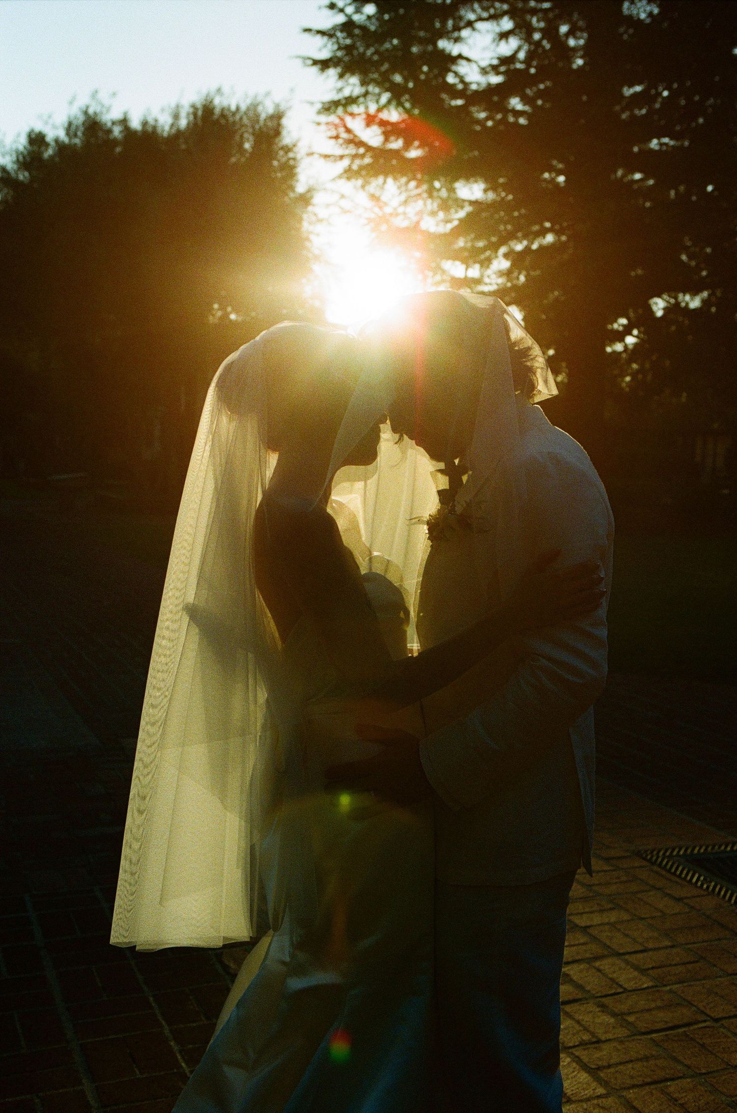Silhouette of a romantic moment at sunset with sunlight streaming through trees.