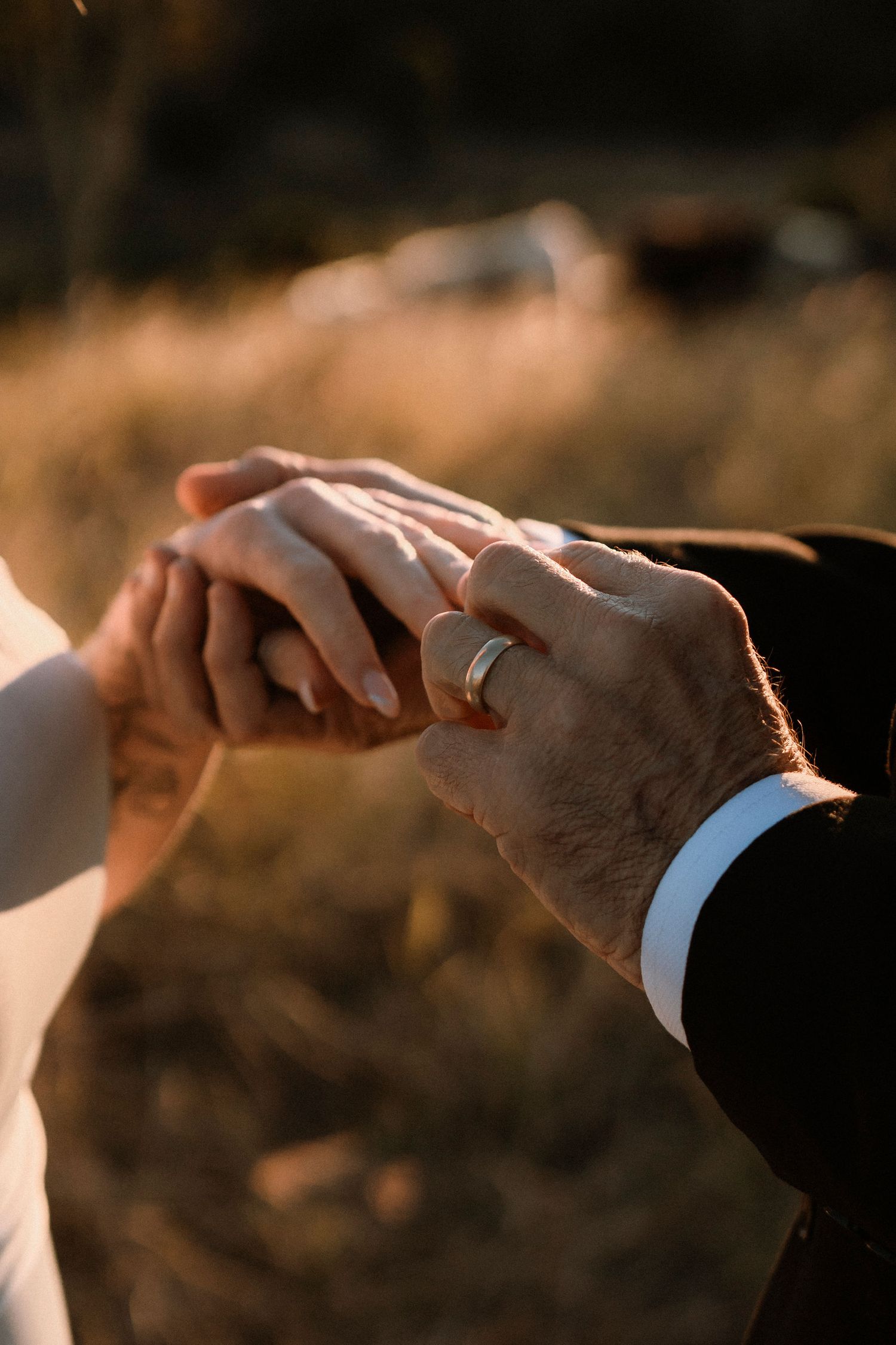 Close-up of a couple holding hands with a silver wedding band on the groom's finger in warm golden light. The Firebreak