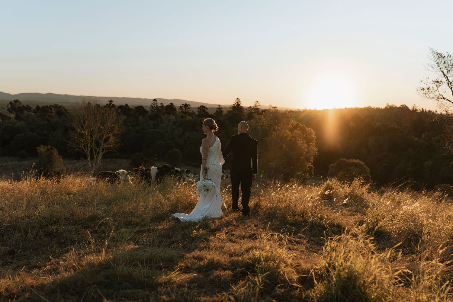 Bride and groom stand hand in hand at golden sunset overlooking a scenic countryside landscape on their wedding day.