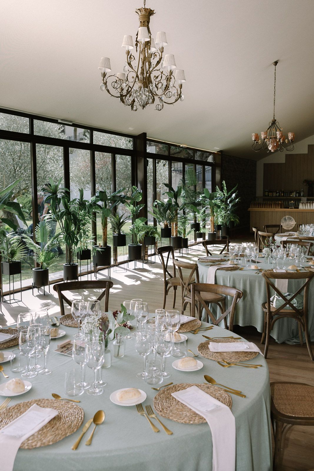 Elegant event dining room with sage green tablecloths, gold cutlery, wicker placemats, and tropical plants by large windows.
