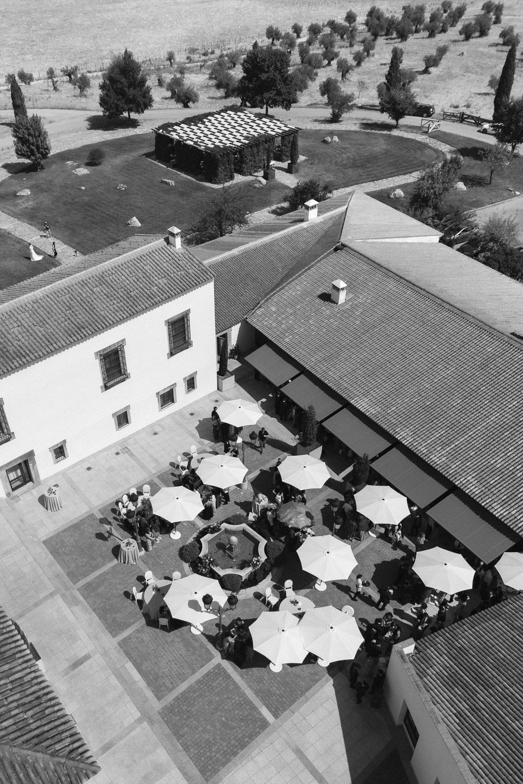 Aerial black and white view of a courtyard restaurant with white umbrellas, surrounded by historic buildings and olive trees.