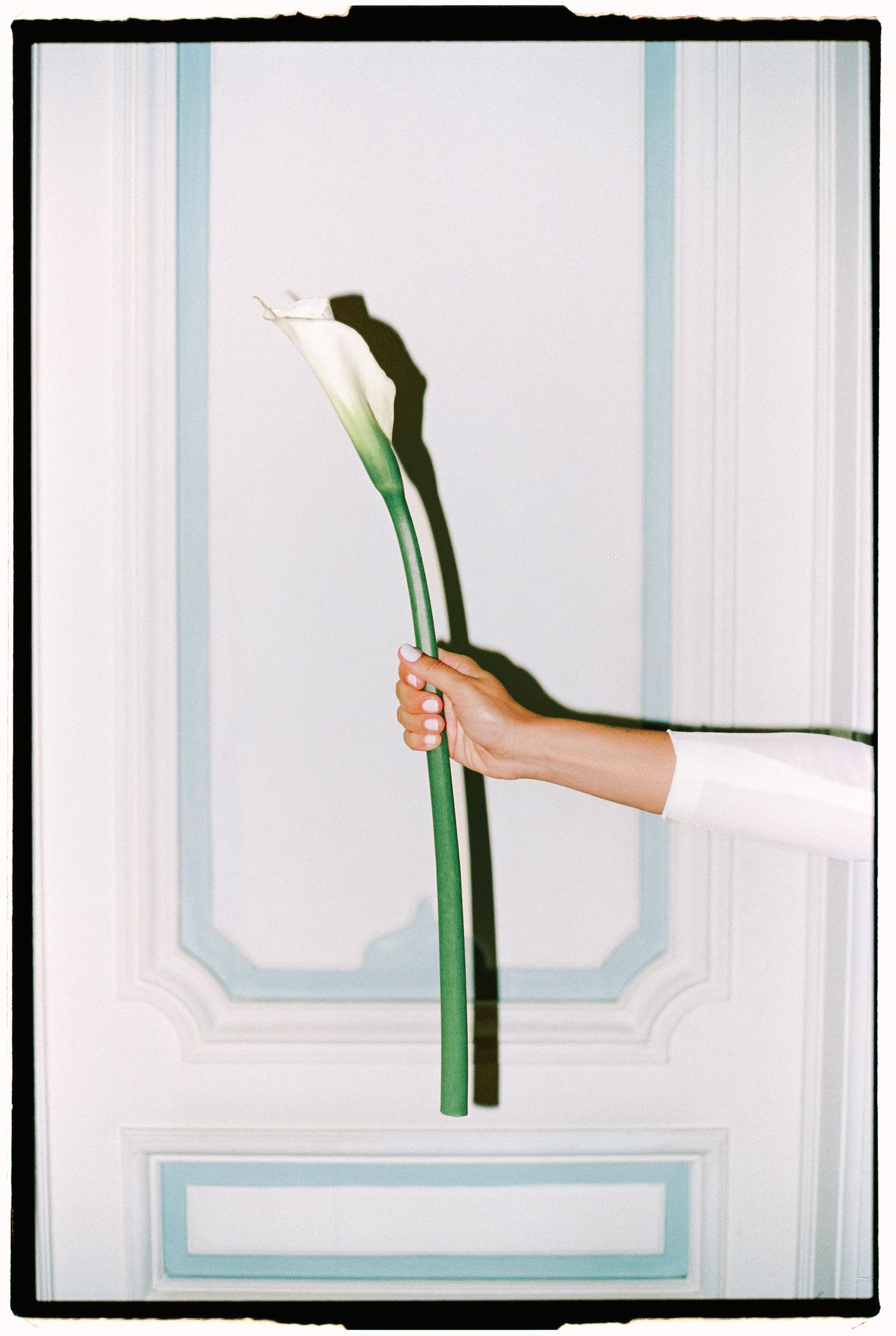 A hand holds three stalks of fresh leeks in front of a light blue wall as part of a visual sequence.