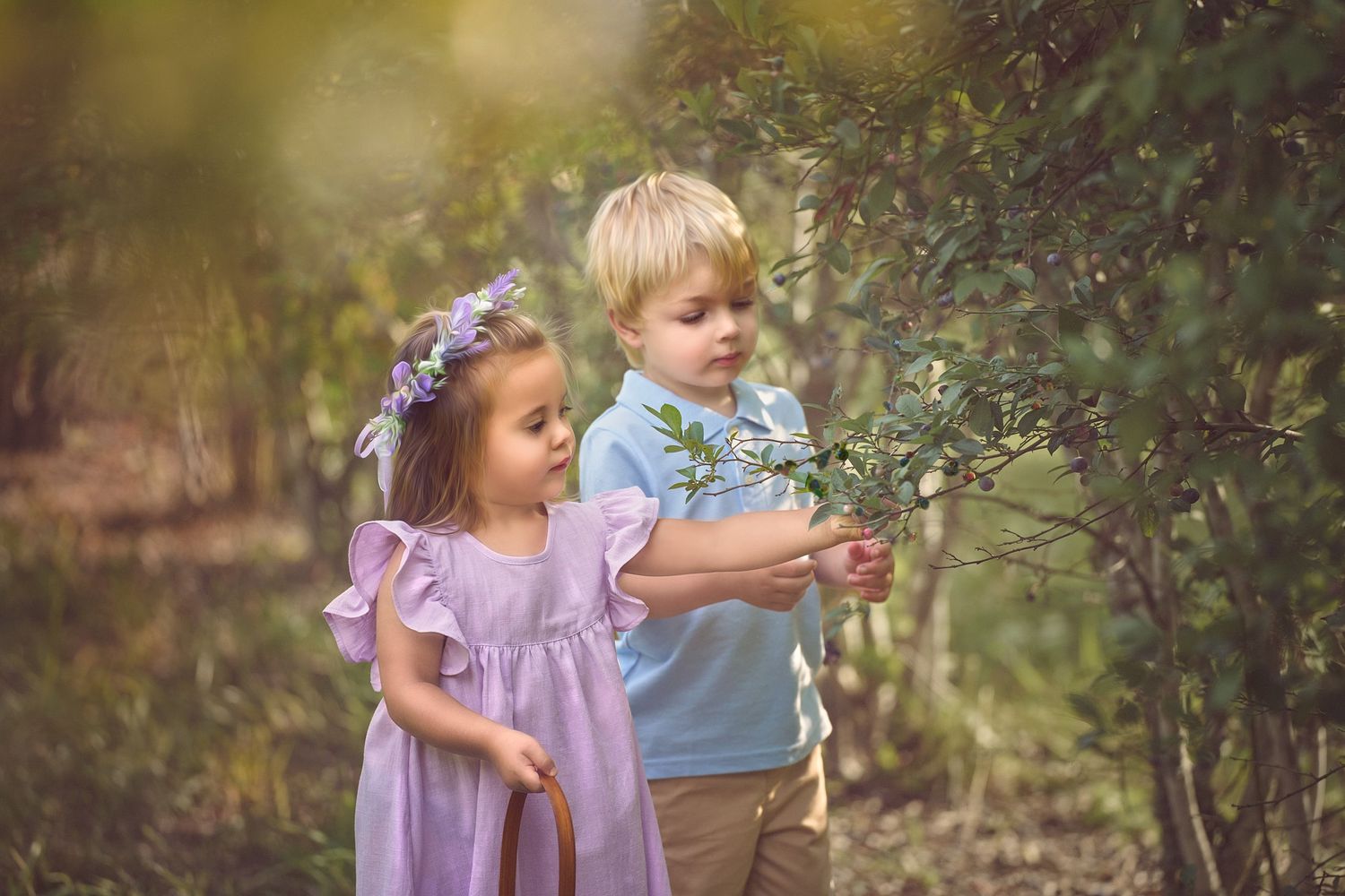 Toddler boy and girl picking blueberries in Richfield NC
