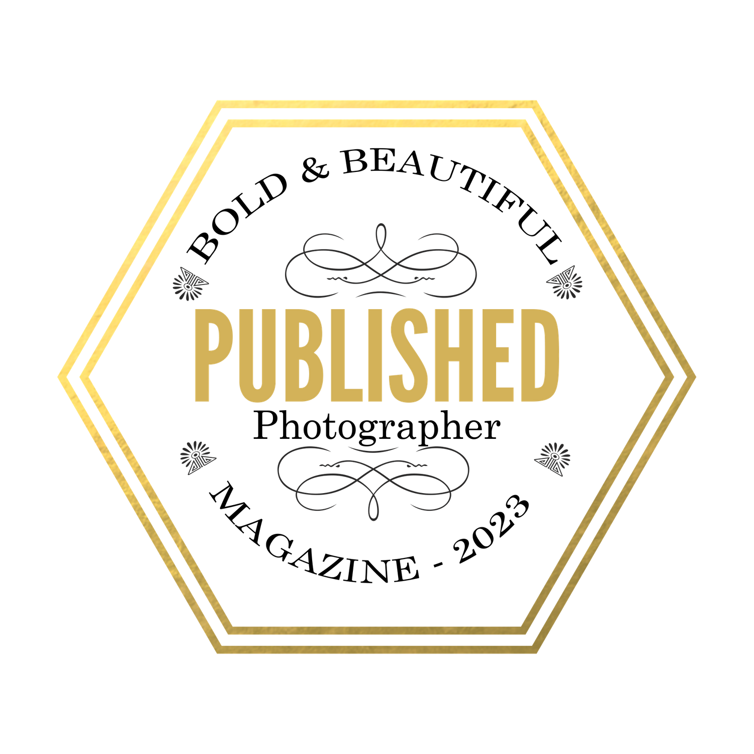 Elegant hexagonal logo with gold borders and Published text on black background.