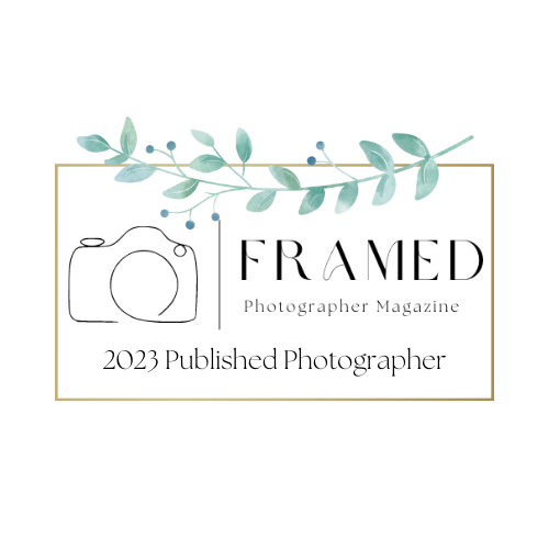 Minimalist frame design with watercolor mint leaves and gold border.