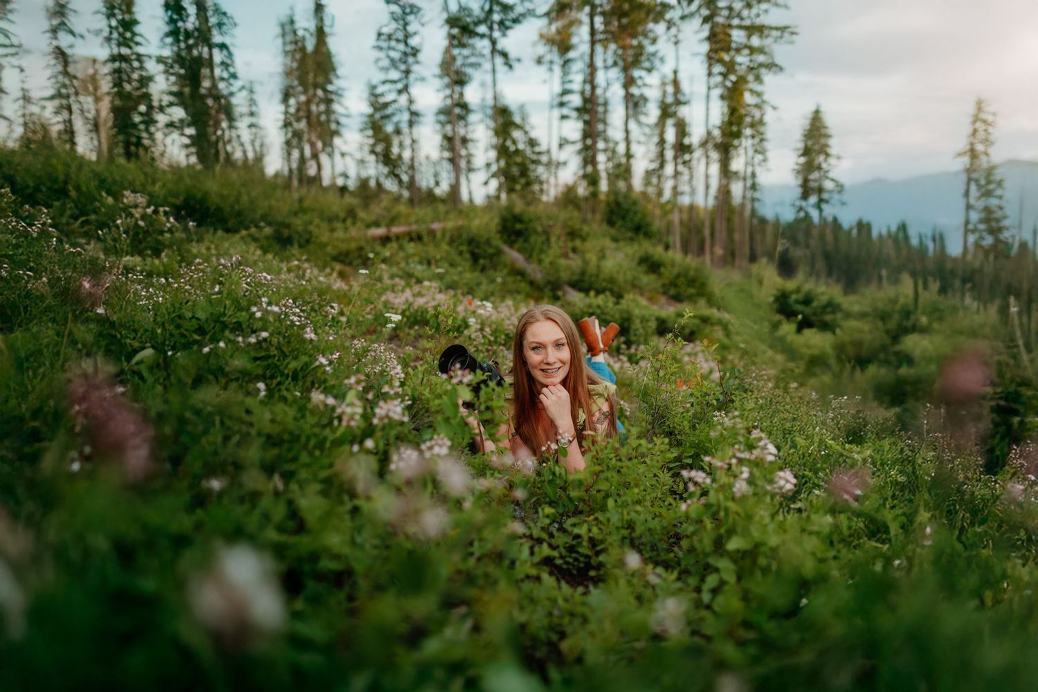 A scenic mountain landscape with evergreen trees and wildflowers blooming in a lush green meadow.