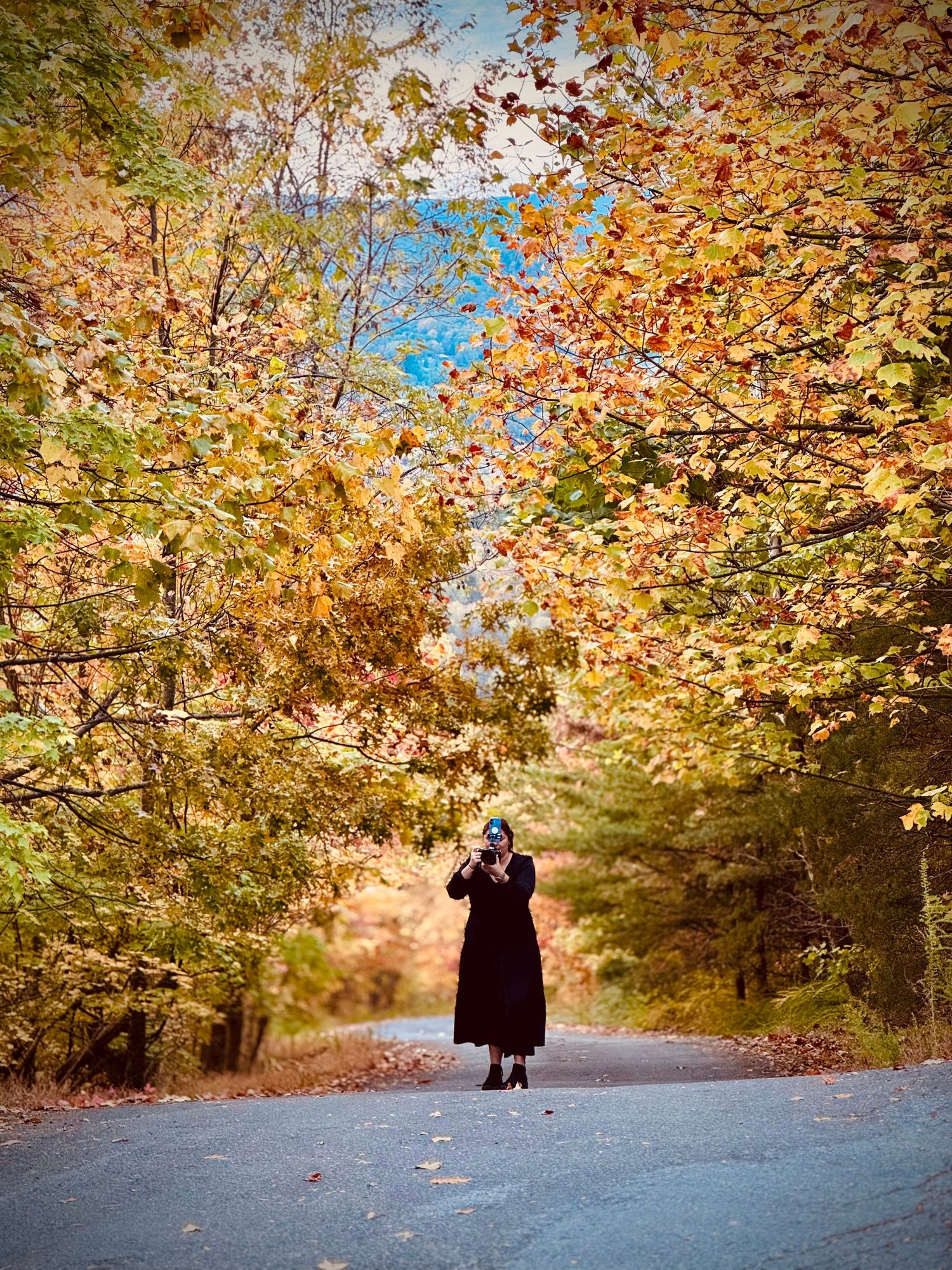 A figure in dark clothing walks down a tree-lined autumn path with golden foliage overhead and blue sky peeking through.