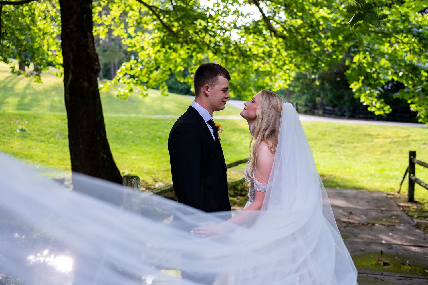 Bride and groom share a romantic kiss outdoors, with her veil flowing in the breeze against a lush green park backdrop.