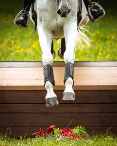 A white and black horse jumping over a wooden fence with red flowers below, captured from a low angle.