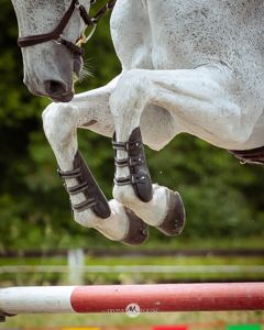 A gray horse wearing protective boots jumps over a red and white rail during an equestrian show jumping competition.
