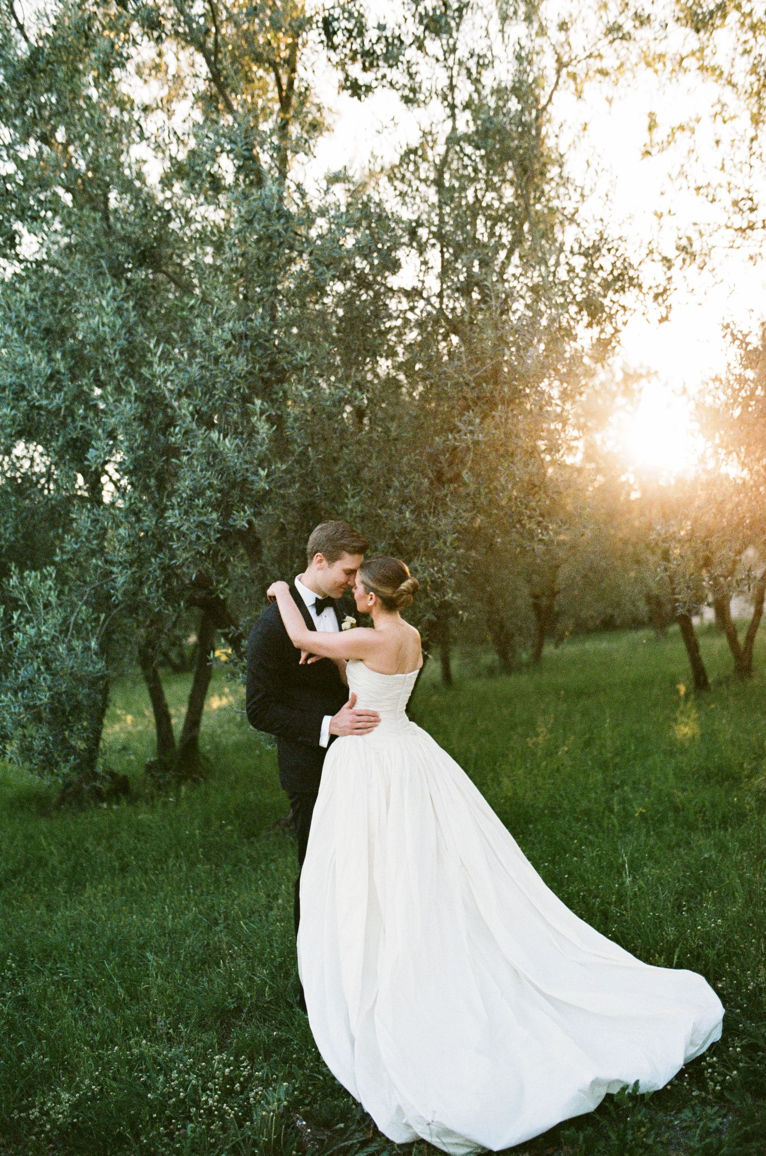 Bride and groom embrace at golden hour in lush green olive grove, bride wearing elegant white ballgown with flowing train.