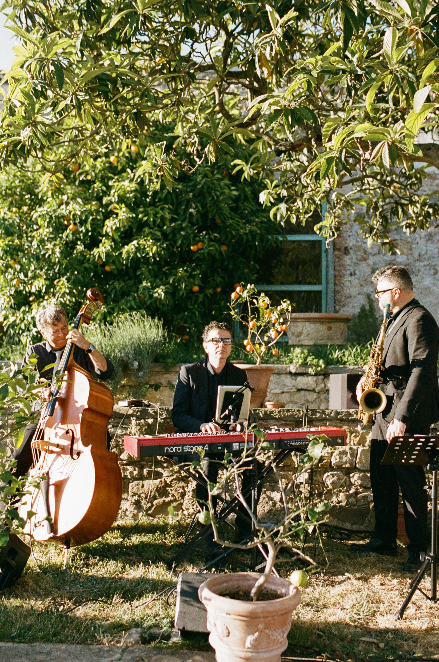 A jazz trio performs outdoors in a sunlit garden, featuring double bass, keyboard, and saxophone players.